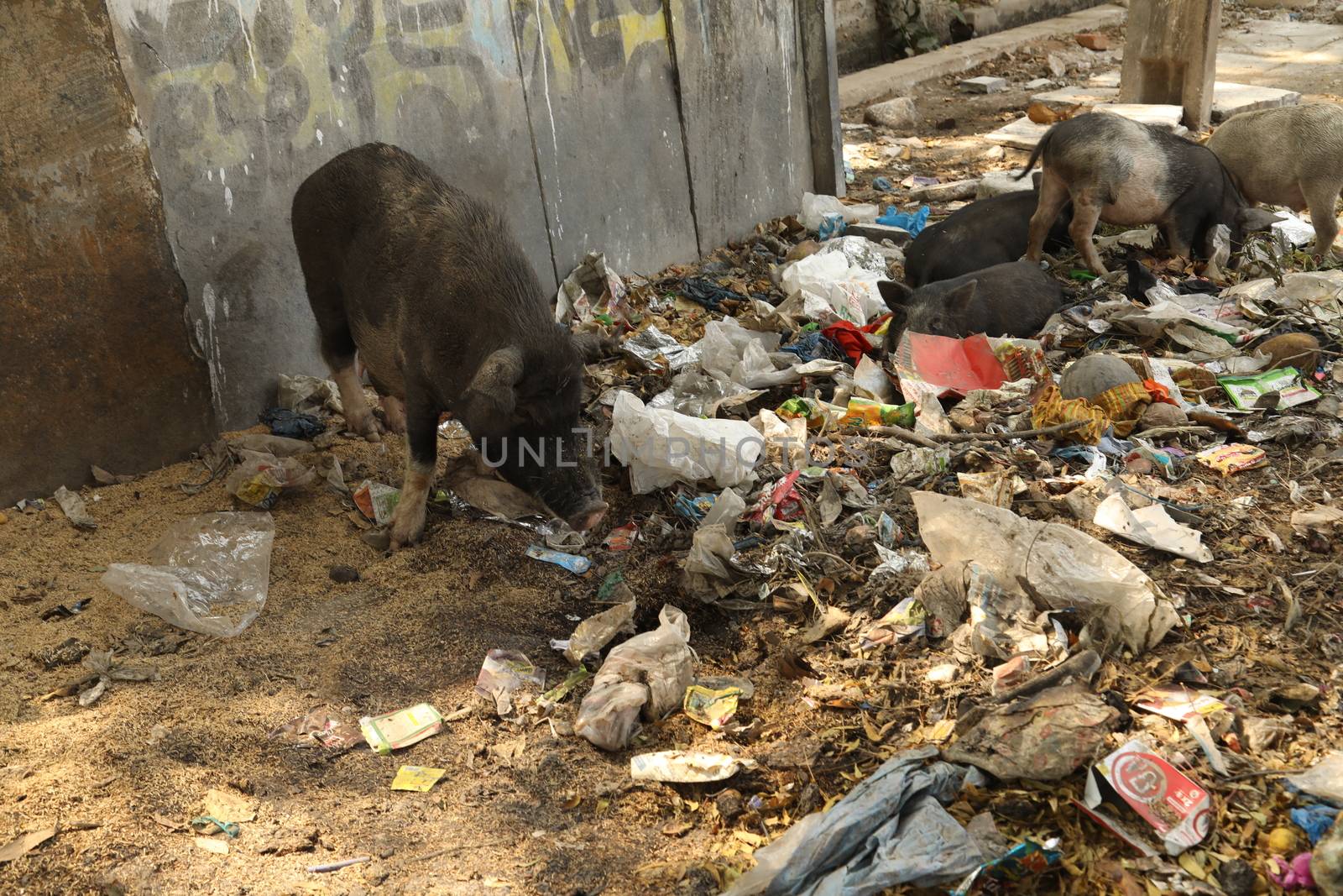 Garbage dump at rural area