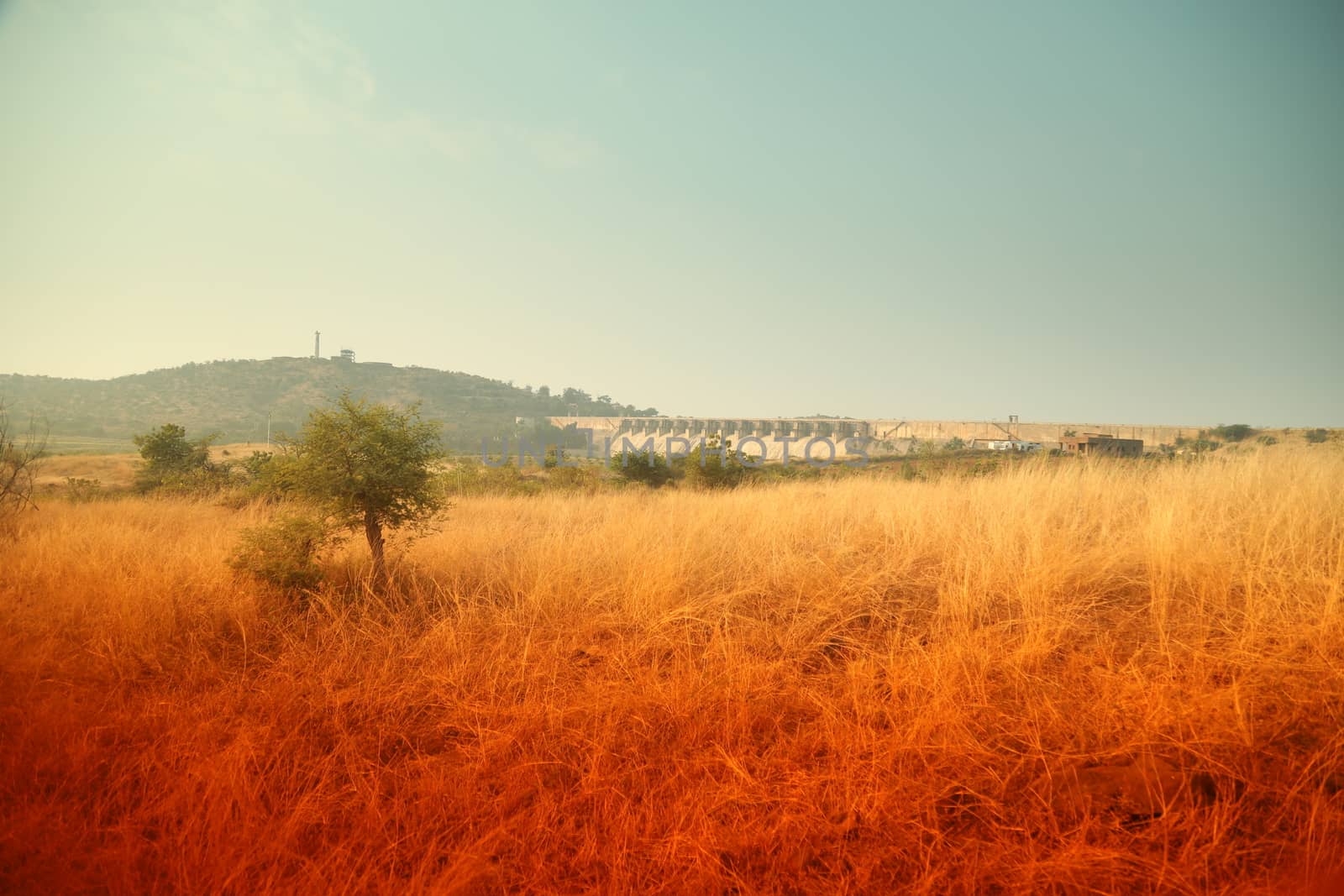 Rural area India