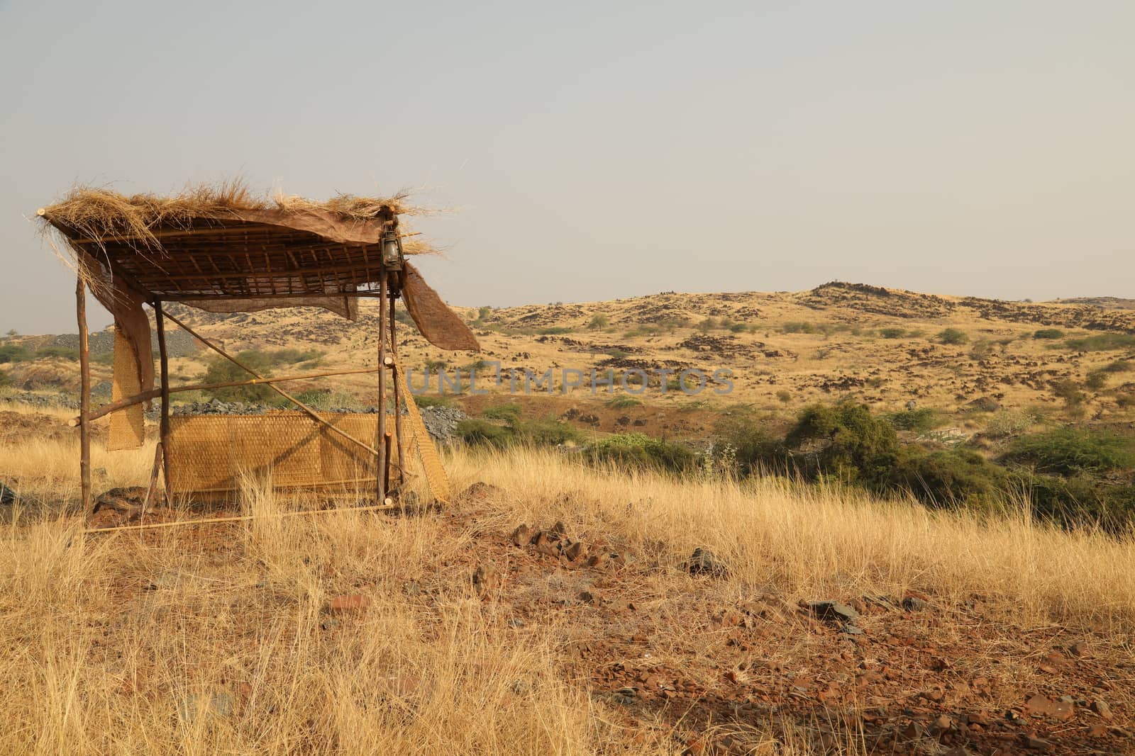 Rural area India