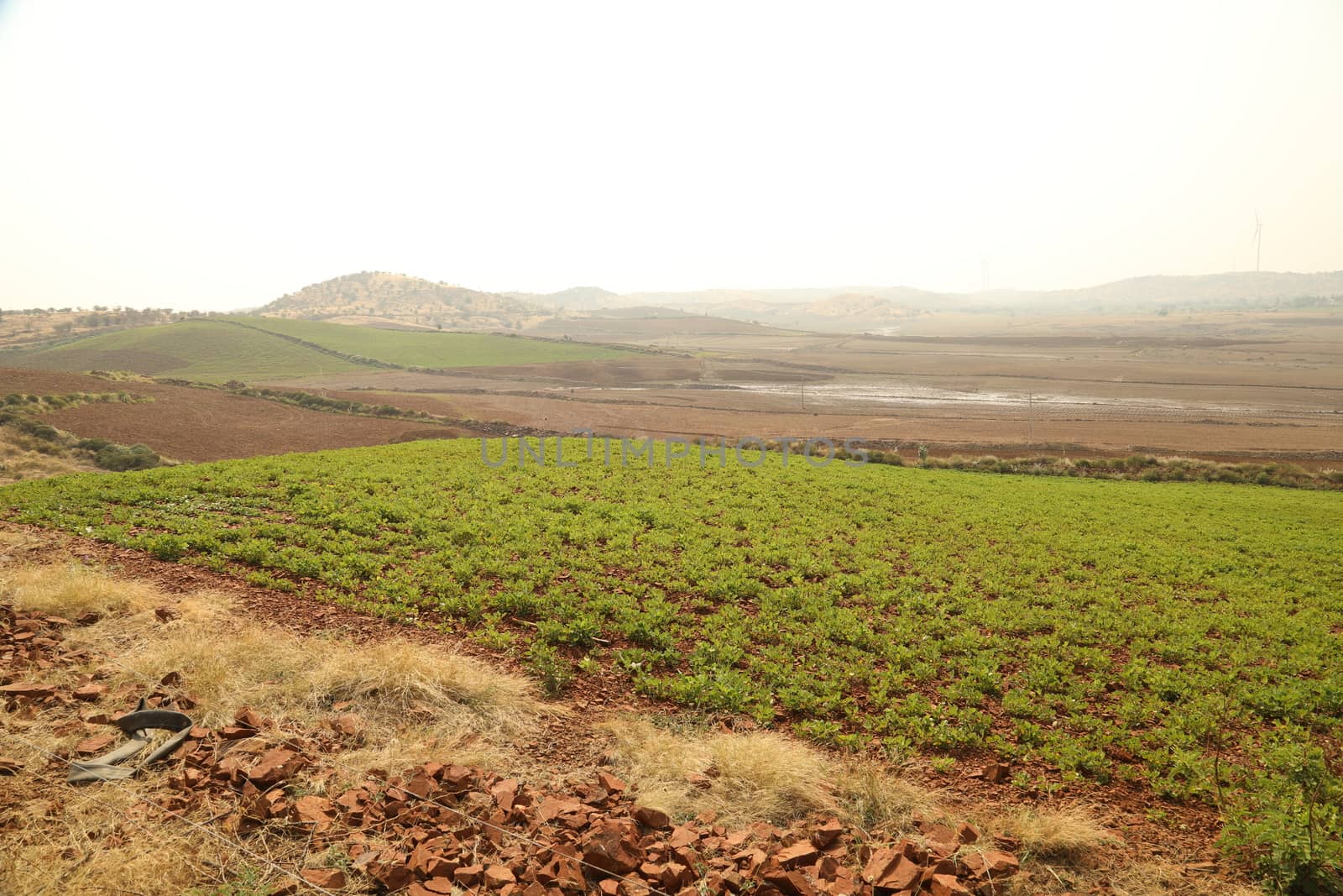 Rural area India
