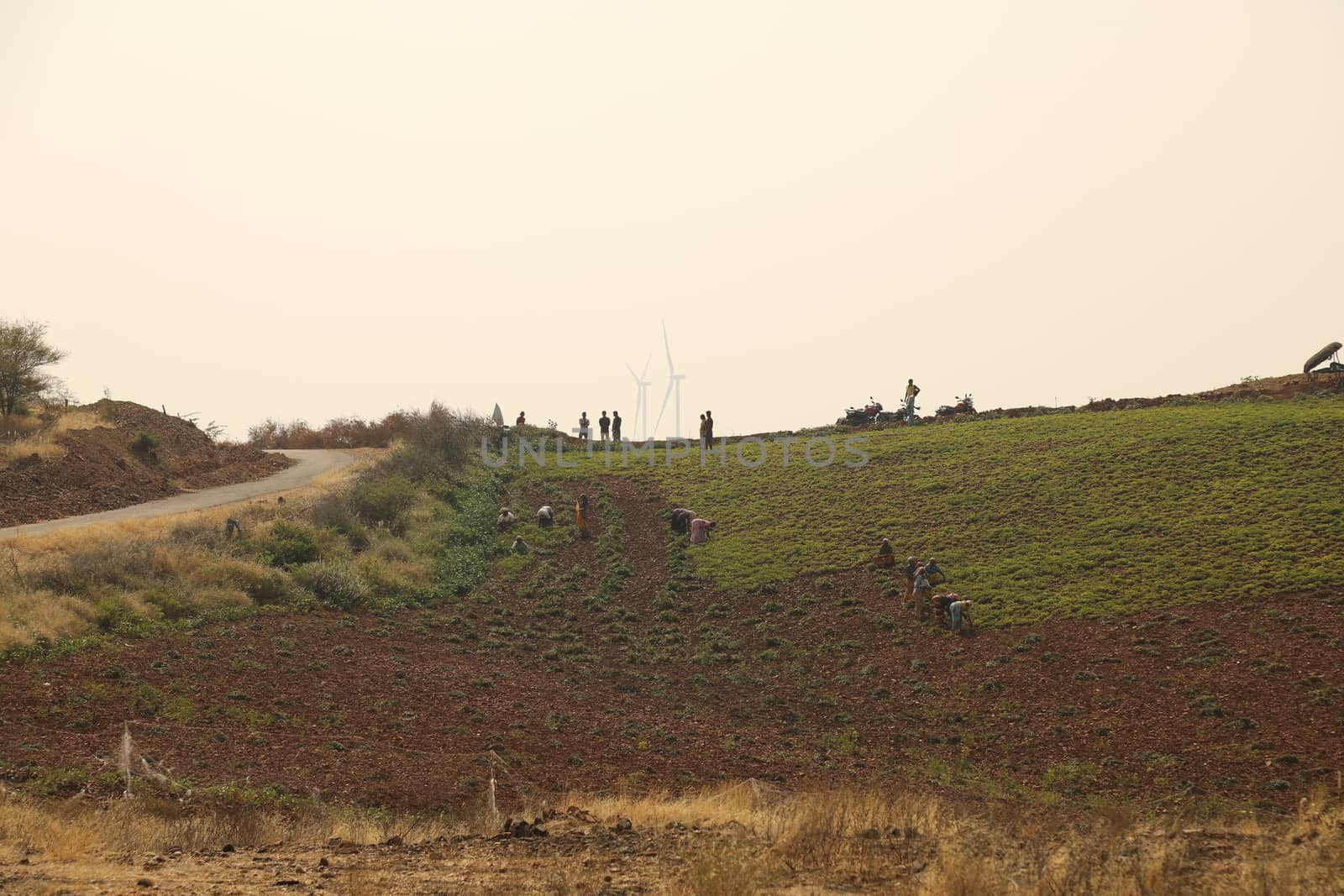 Rural area India