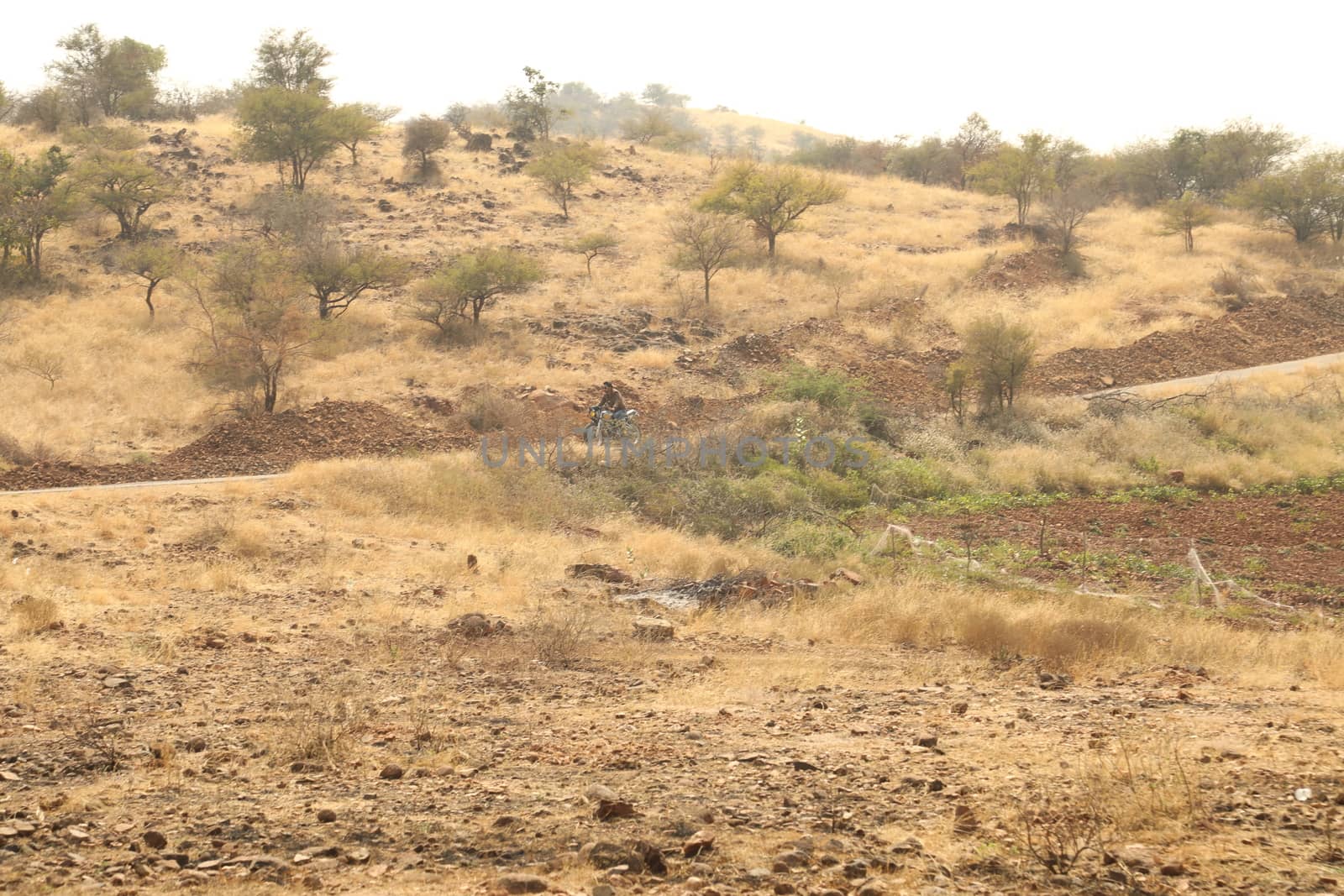 Rural area India
