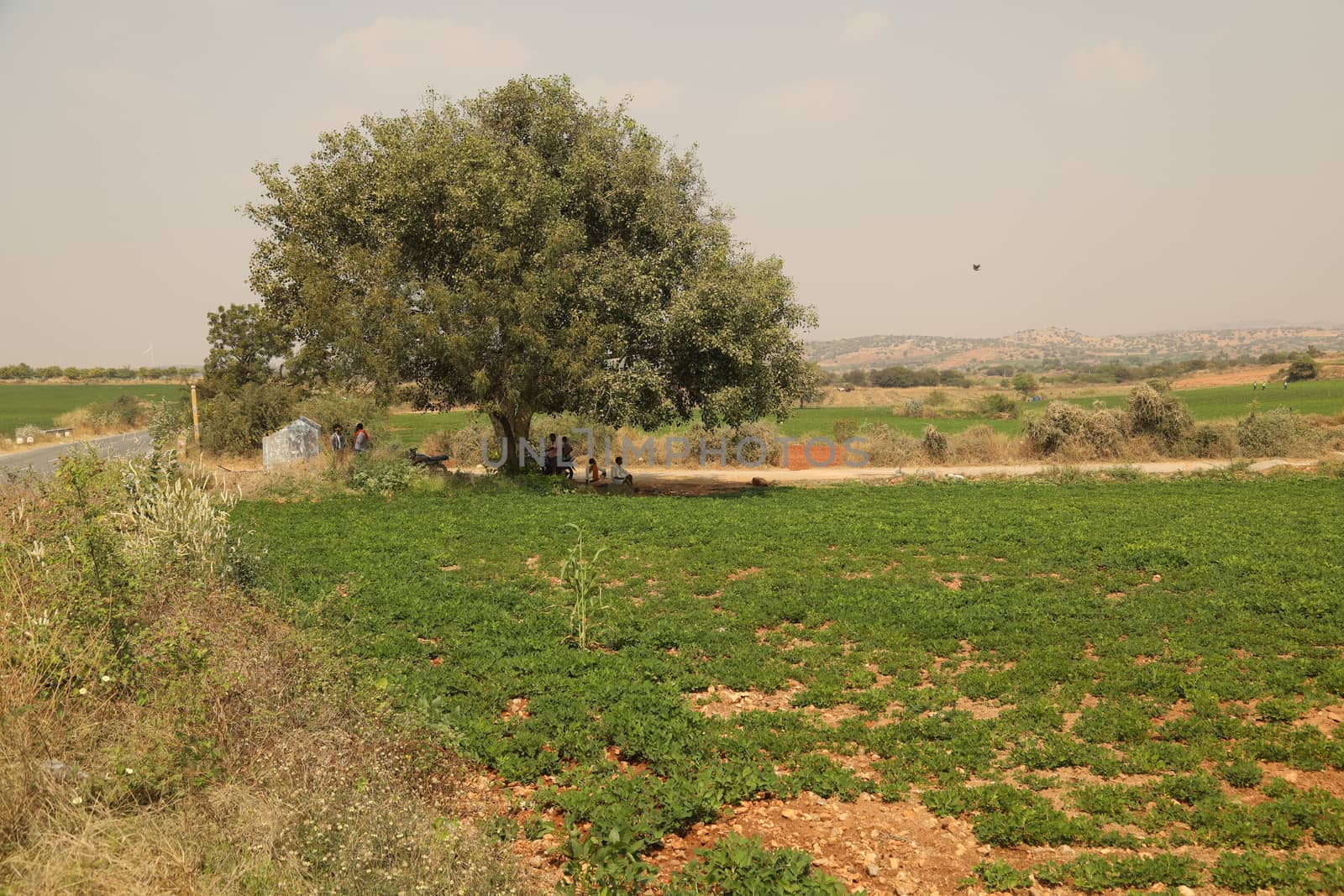 Rural area India