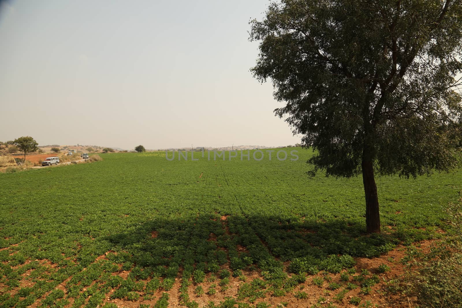 Rural area India