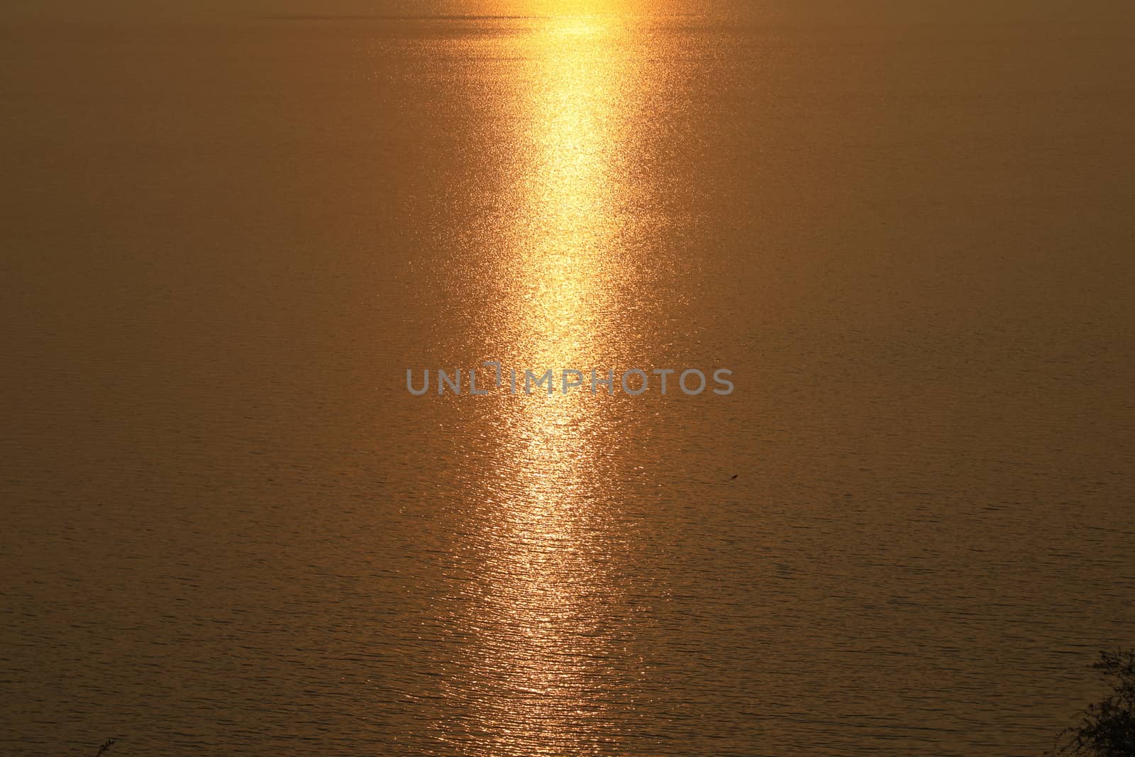 Beautiful Summer Sunset