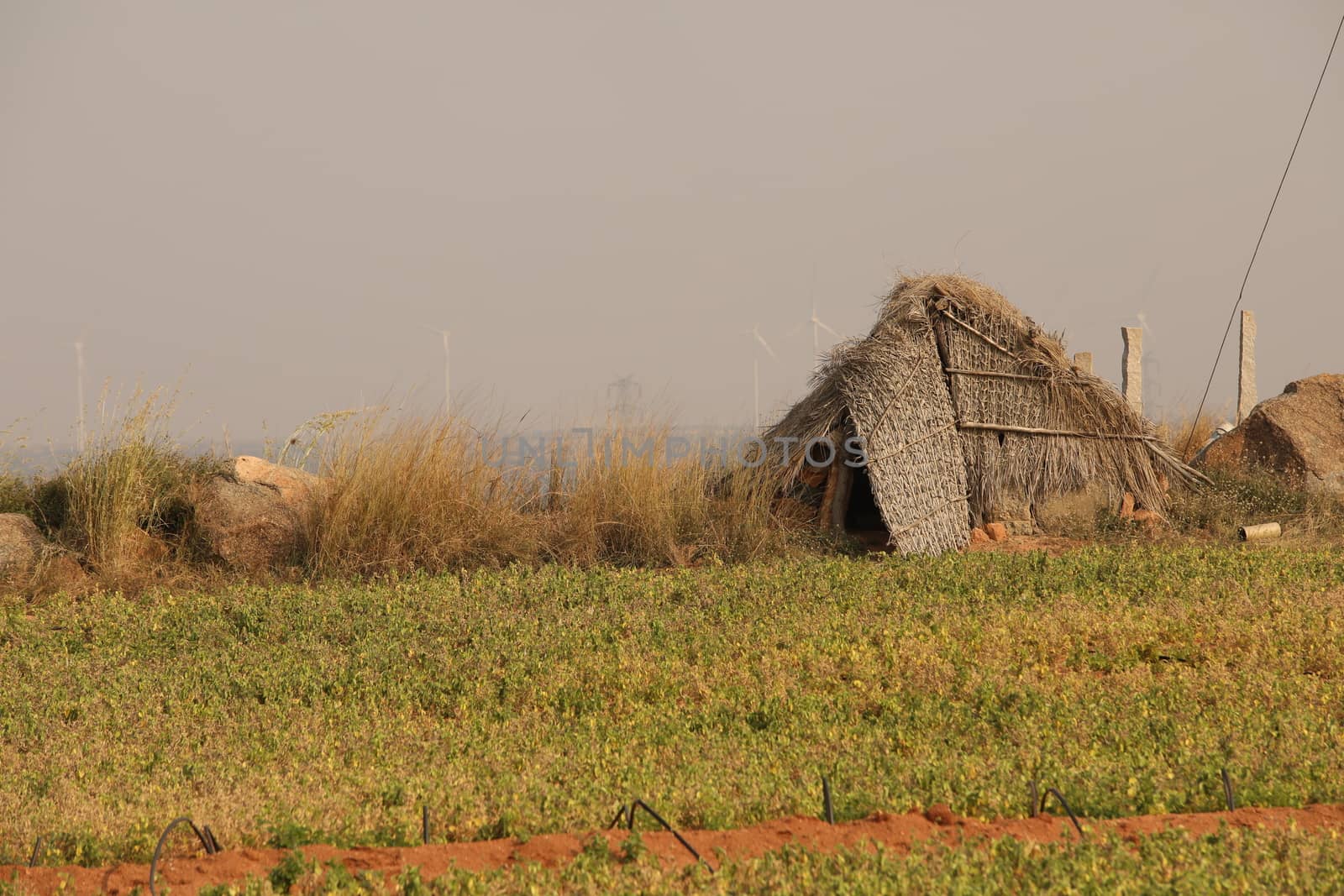 Rural area India