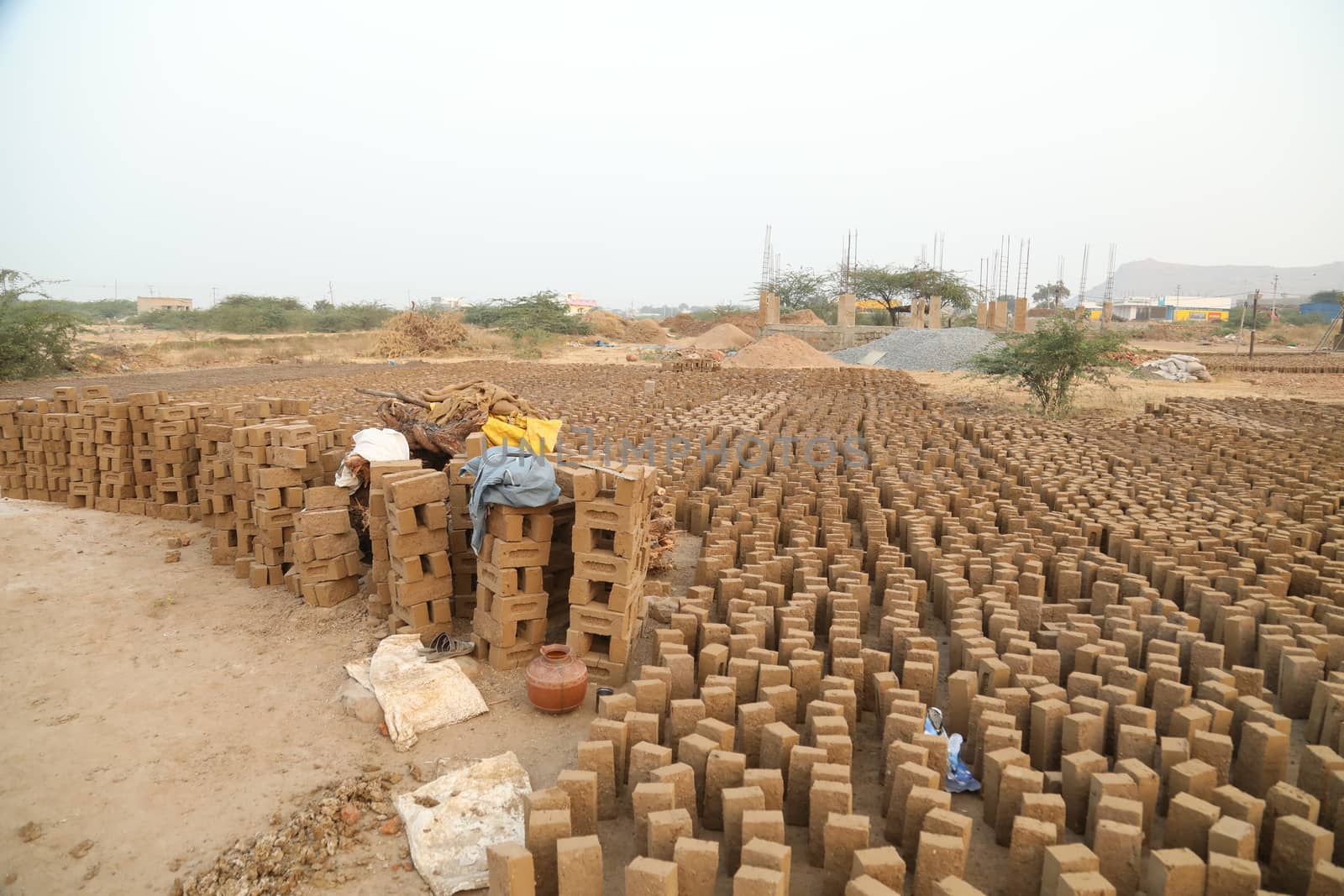 Rural area India