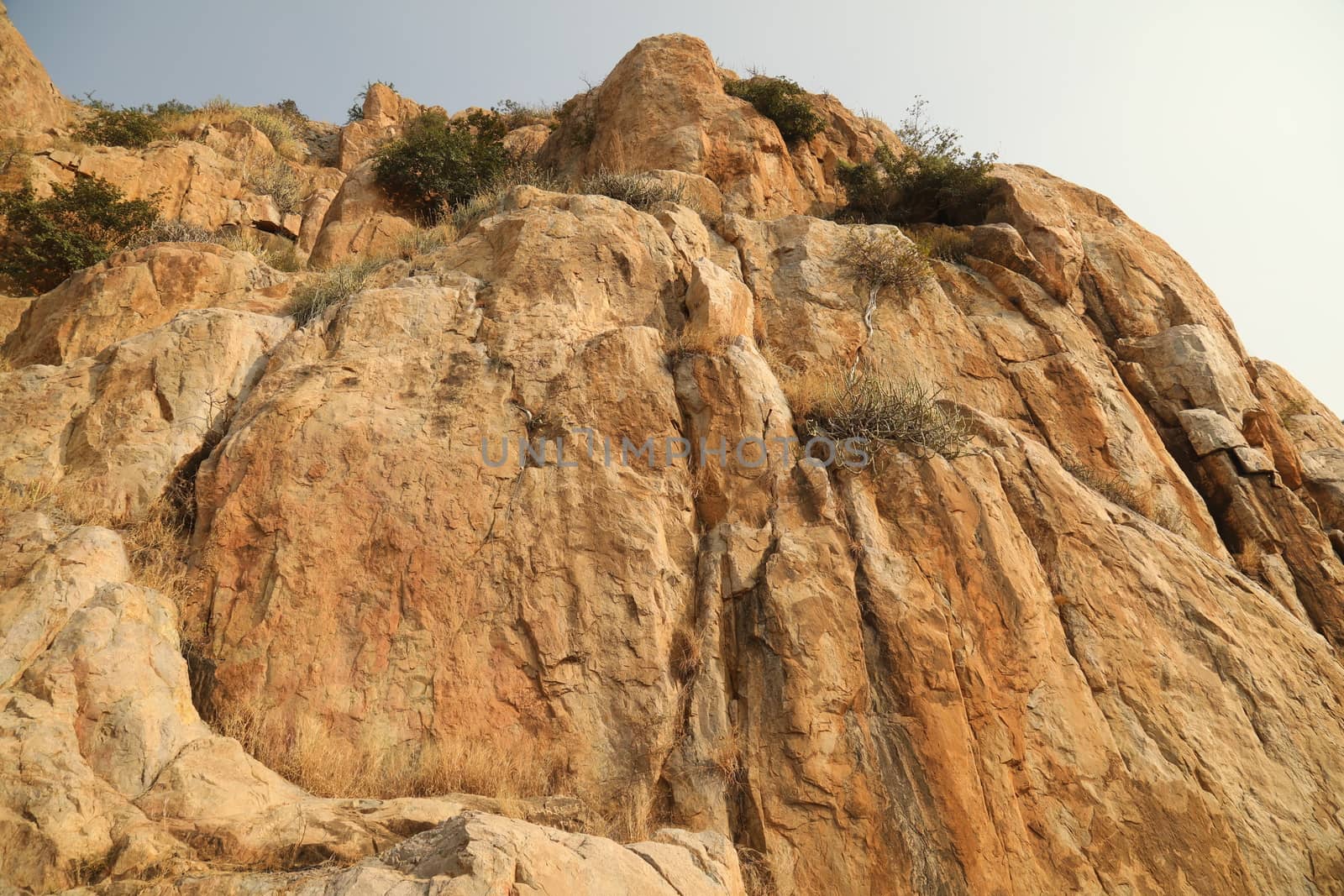 Heritage Fort at Rajasthan India