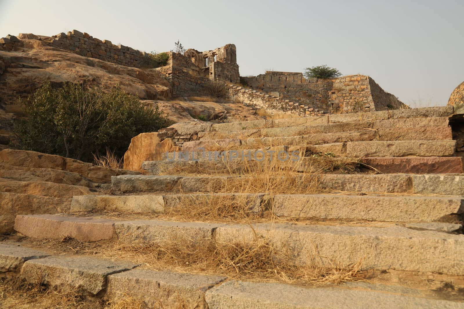 Heritage Fort Rajasthan India