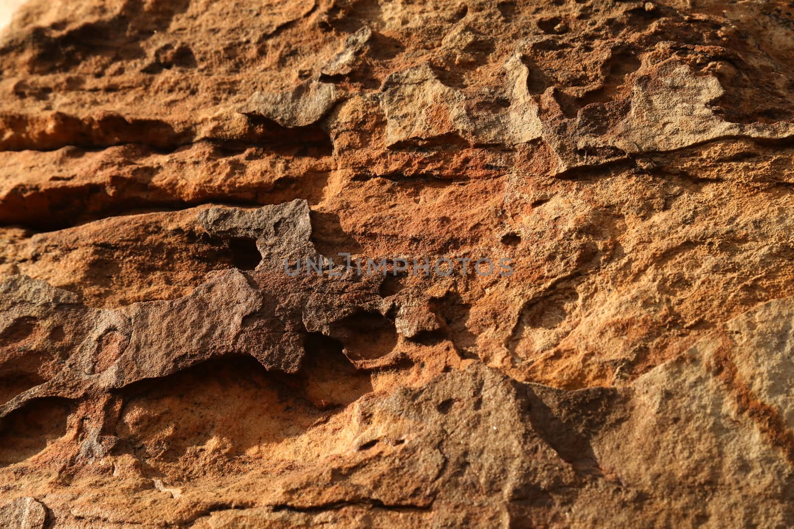 Rock Hill Texture