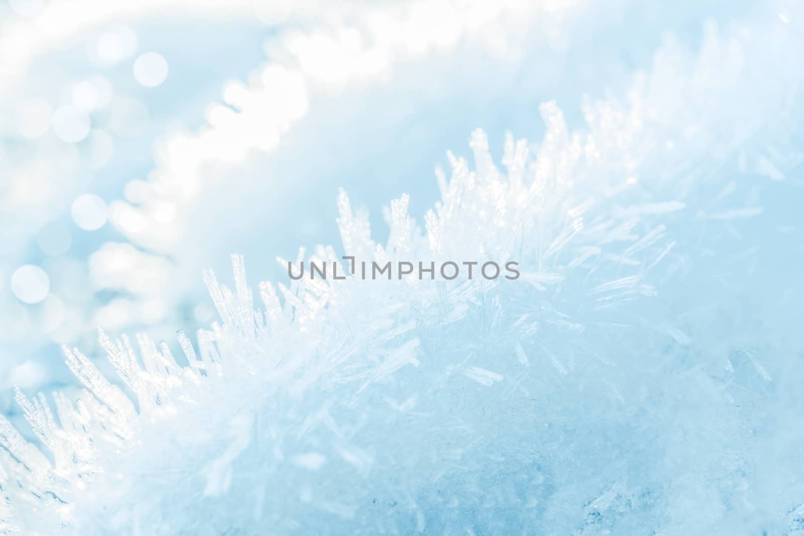 Beautiful winter abstract background - frozen and snow-covered branches in close-up with bokeh effect