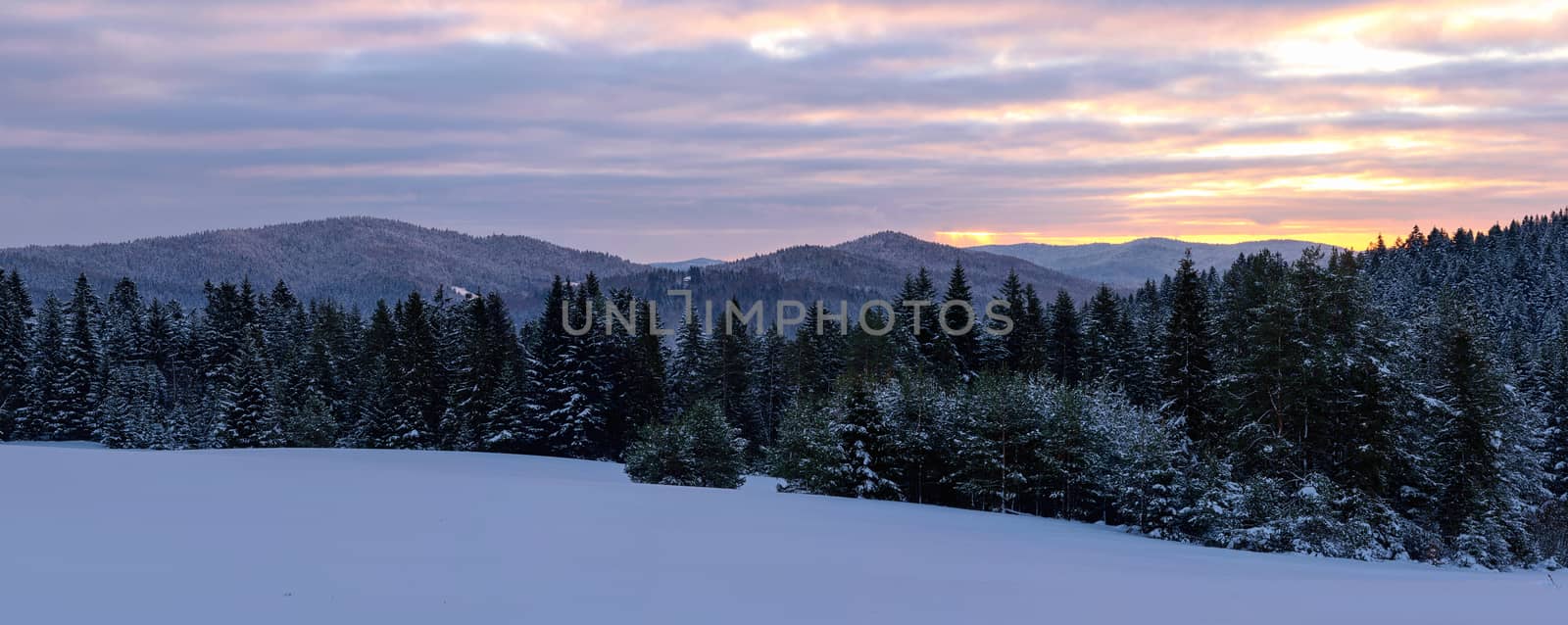 Picturesque panorama of winter mountains and forest at sunrise in the morning (high resolution photomerge panorama).