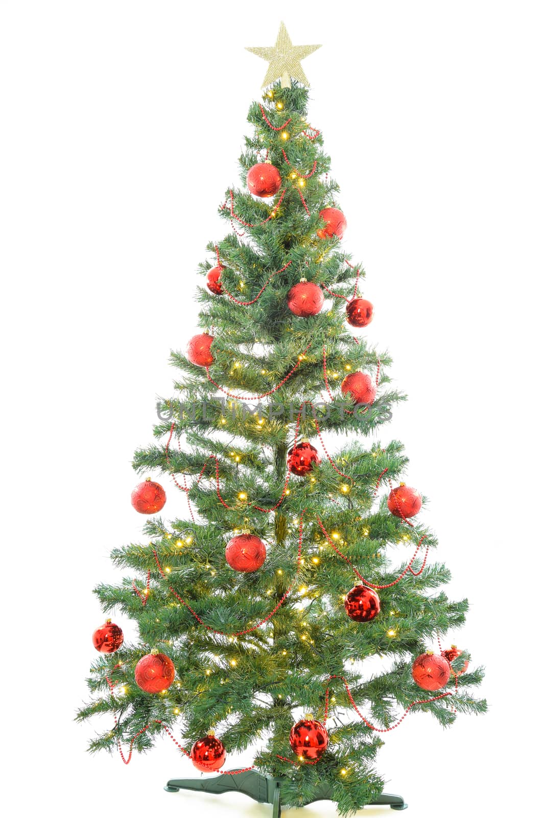 Beautiful large christmas tree with red balls and lights isolated on white background.