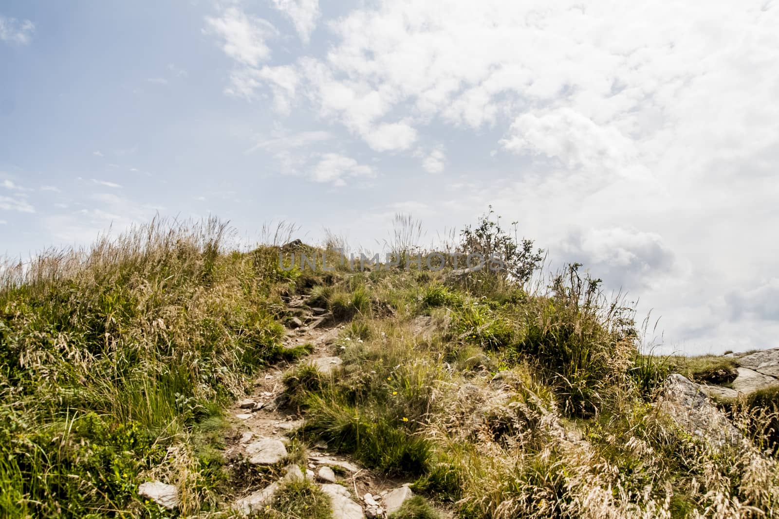 Road from Widelki to Tarnica through Bukowe Berdo in the Bieszczady Mountains in Poland