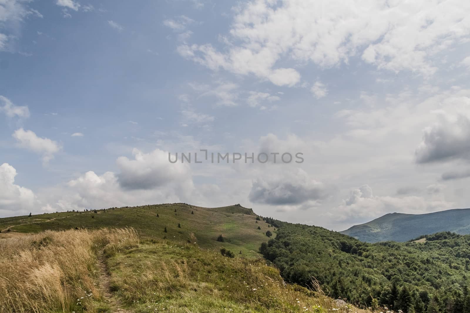 Road from Widelki to Tarnica through Bukowe Berdo in the Bieszczady Mountains in Poland by jacek65