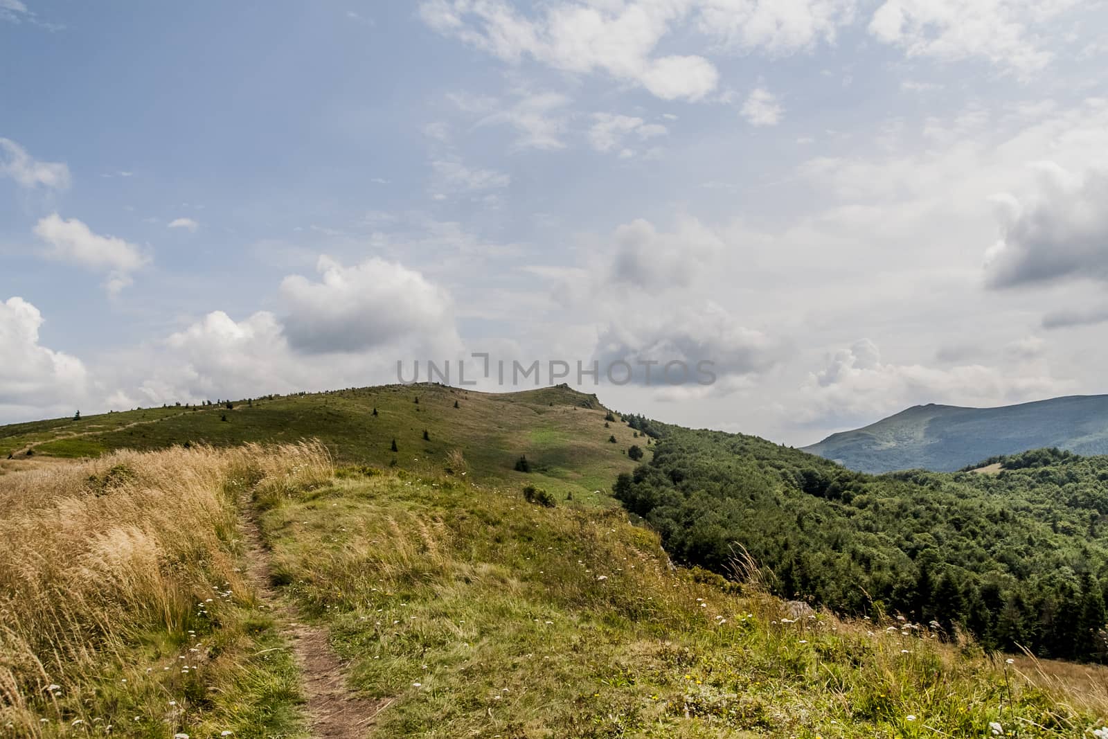 Road from Widelki to Tarnica through Bukowe Berdo in the Bieszczady Mountains in Poland by jacek65