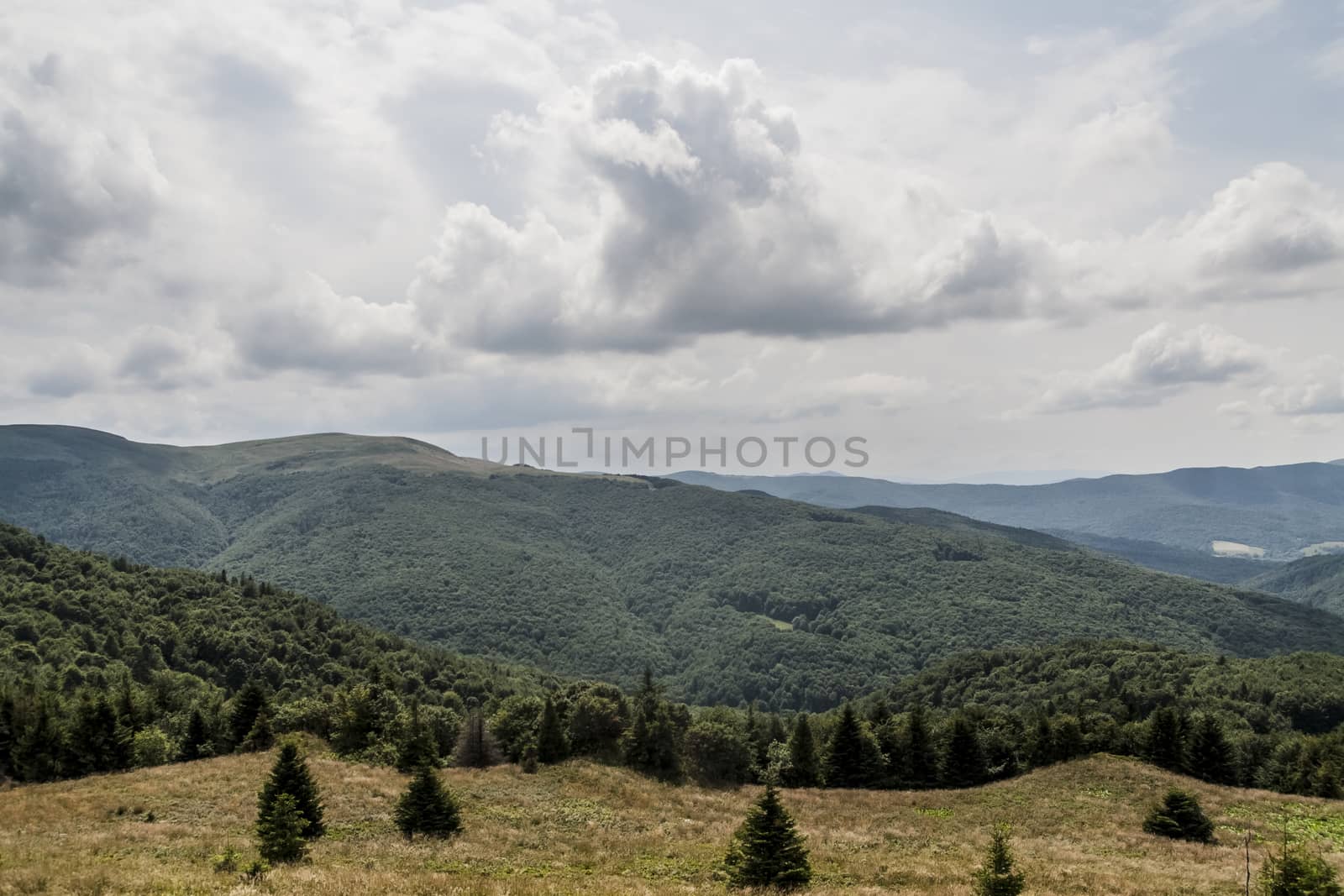 Road from Widelki to Tarnica through Bukowe Berdo in the Bieszczady Mountains in Poland