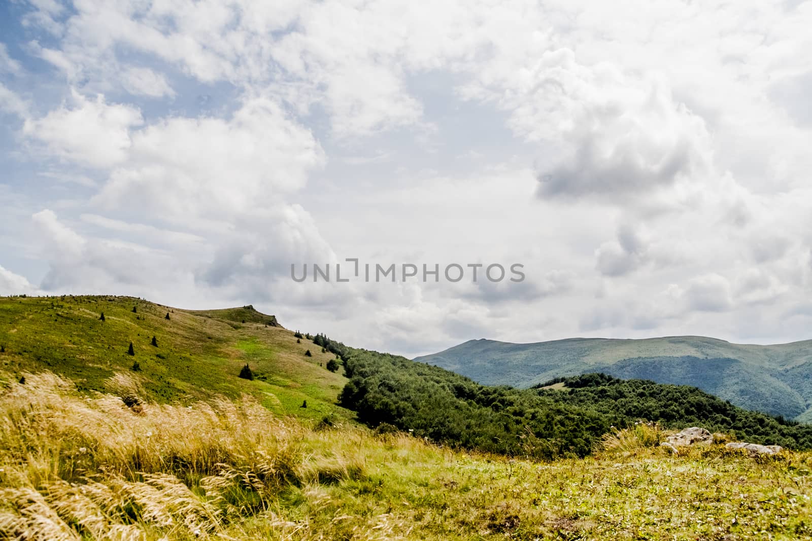 Road from Widelki to Tarnica through Bukowe Berdo in the Bieszczady Mountains in Poland