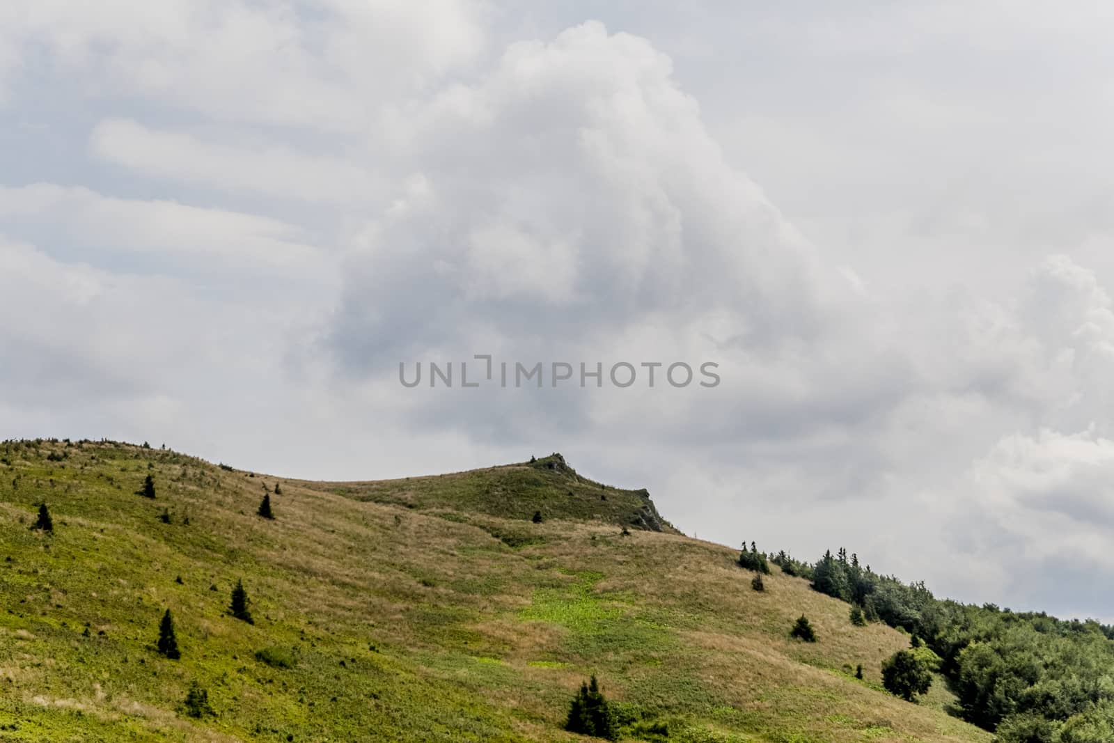 Road from Widelki to Tarnica through Bukowe Berdo in the Bieszczady Mountains in Poland by jacek65