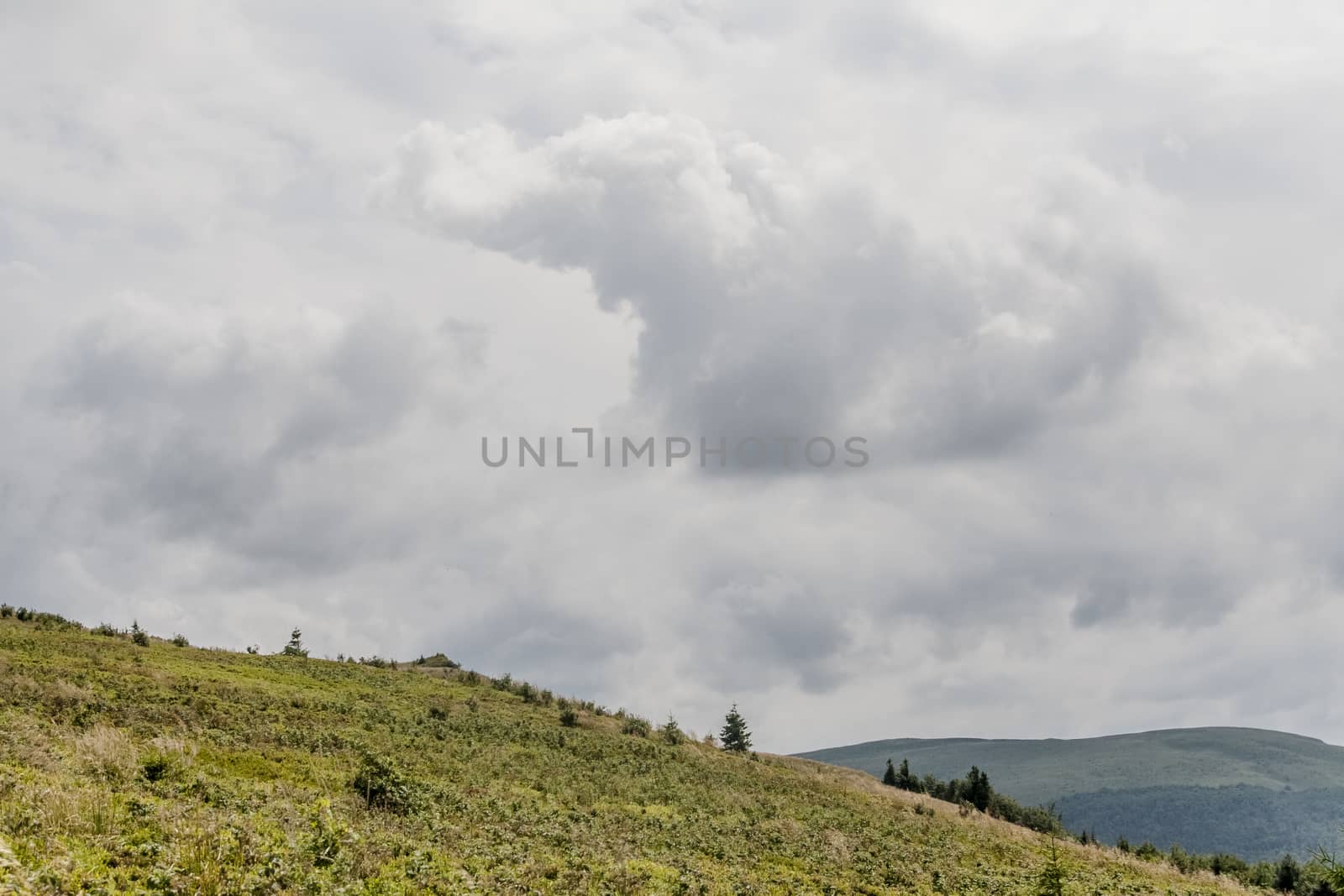 Road from Widelki to Tarnica through Bukowe Berdo in the Bieszczady Mountains in Poland