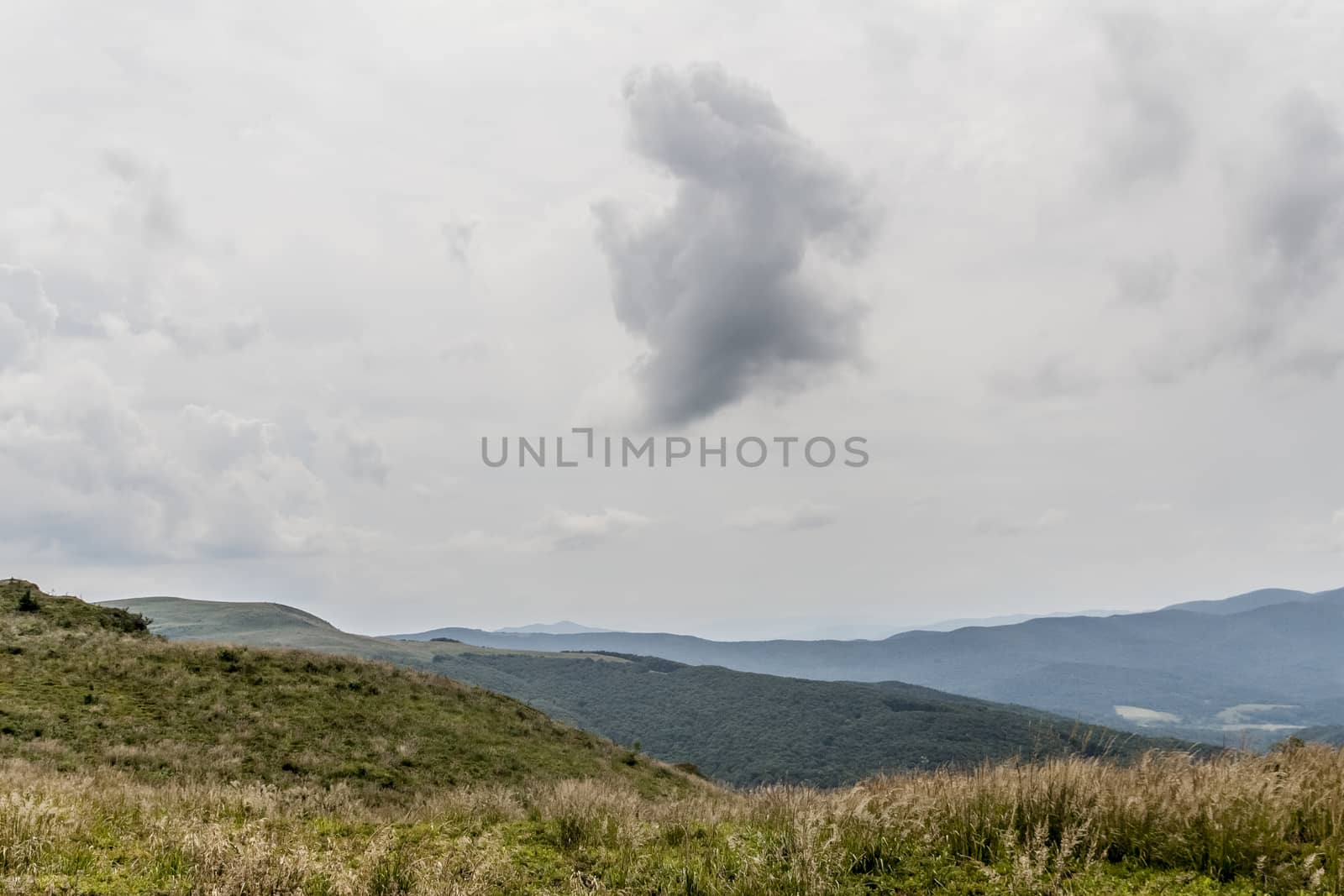 Road from Widelki to Tarnica through Bukowe Berdo in the Bieszczady Mountains in Poland