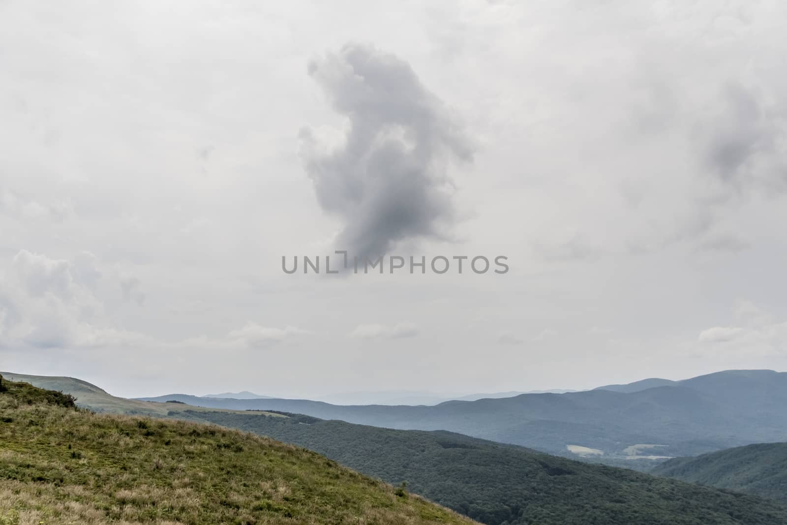 Road from Widelki to Tarnica through Bukowe Berdo in the Bieszczady Mountains in Poland