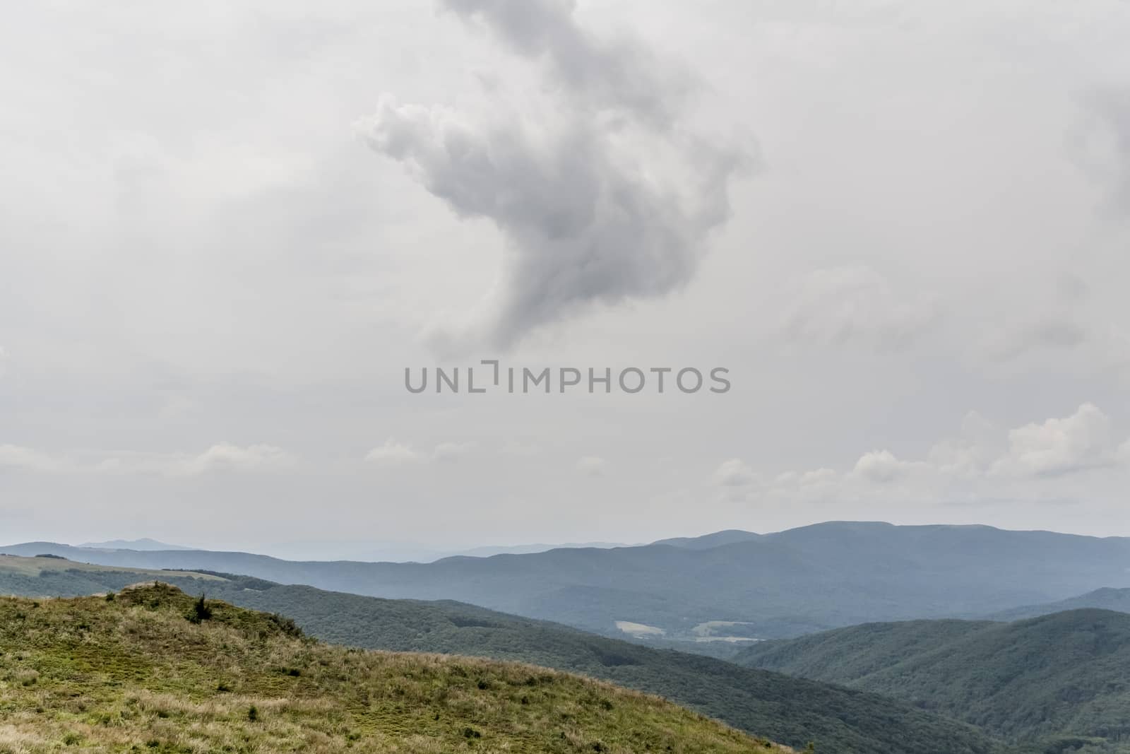 Road from Widelki to Tarnica through Bukowe Berdo in the Bieszczady Mountains in Poland