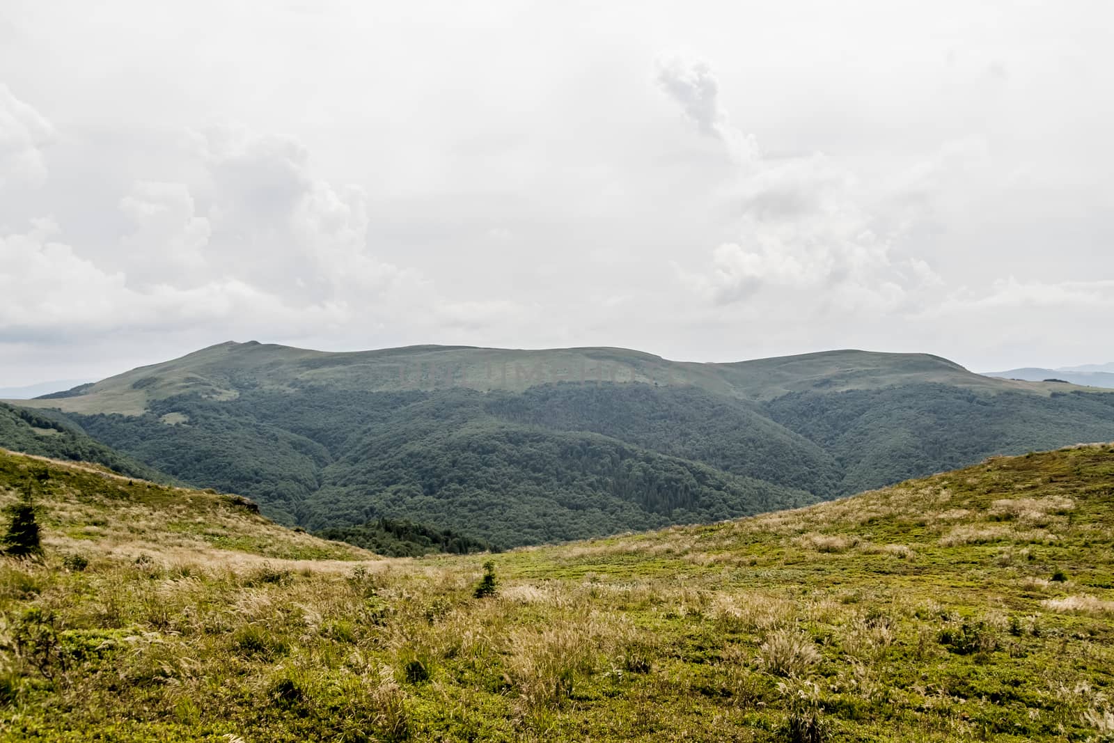 Road from Widelki to Tarnica through Bukowe Berdo in the Bieszczady Mountains in Poland by jacek65