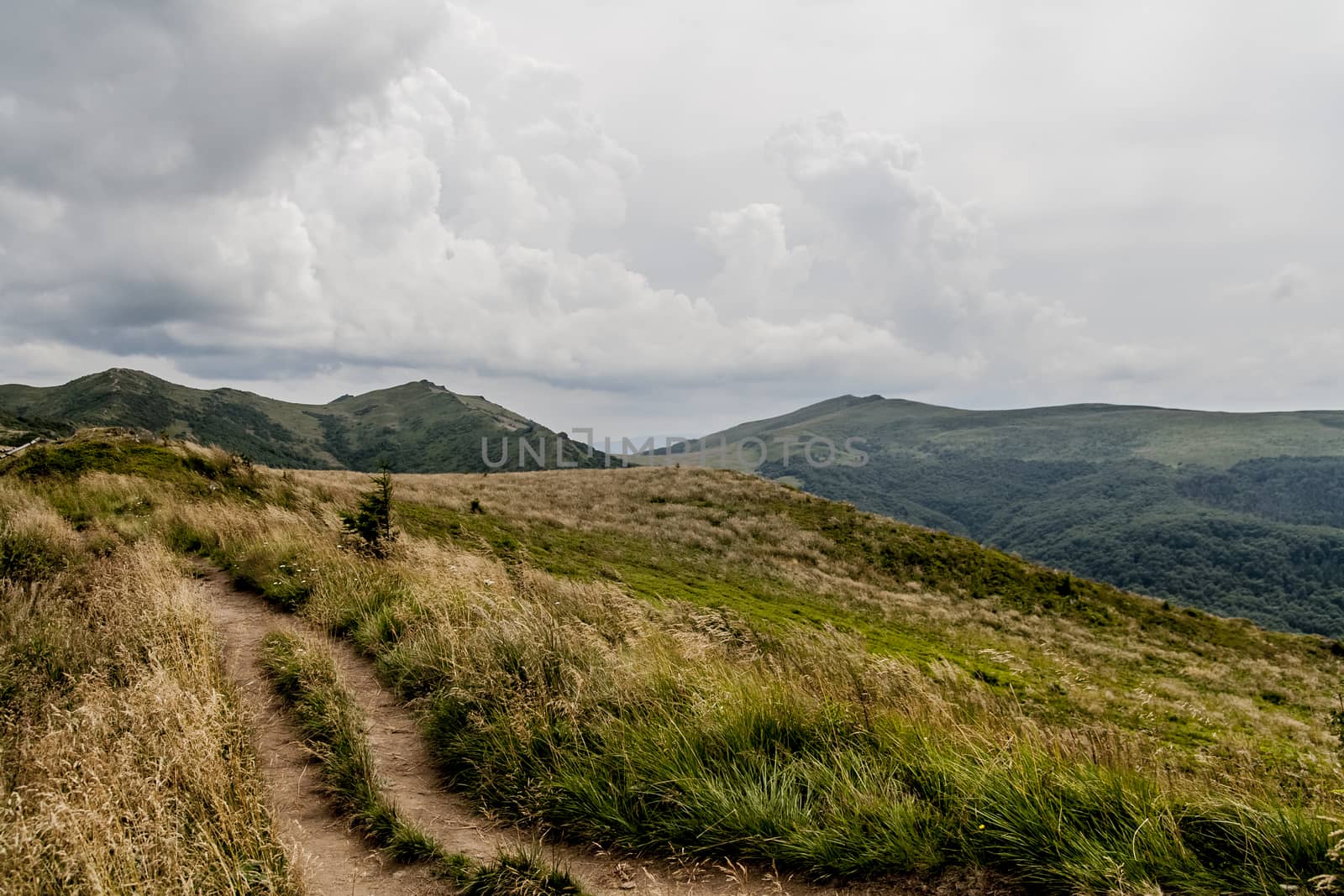 Road from Widelki to Tarnica through Bukowe Berdo in the Bieszczady Mountains in Poland by jacek65