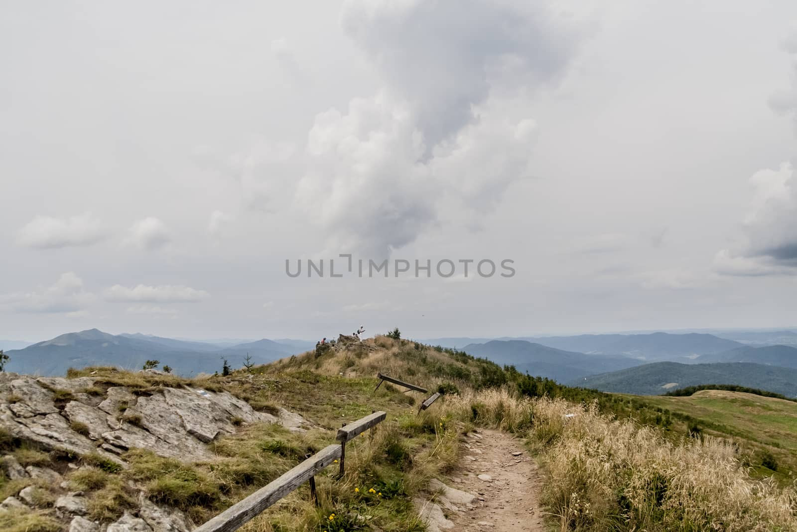 Road from Widelki to Tarnica through Bukowe Berdo in the Bieszczady Mountains in Poland