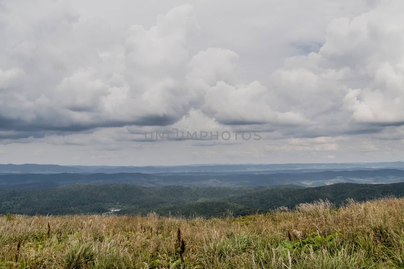 Road from Widelki to Tarnica through Bukowe Berdo in the Bieszczady Mountains in Poland