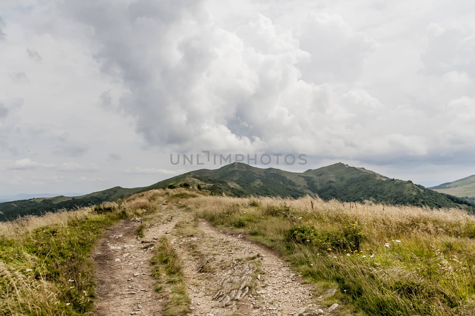 Road from Widelki to Tarnica through Bukowe Berdo in the Bieszczady Mountains in Poland by jacek65