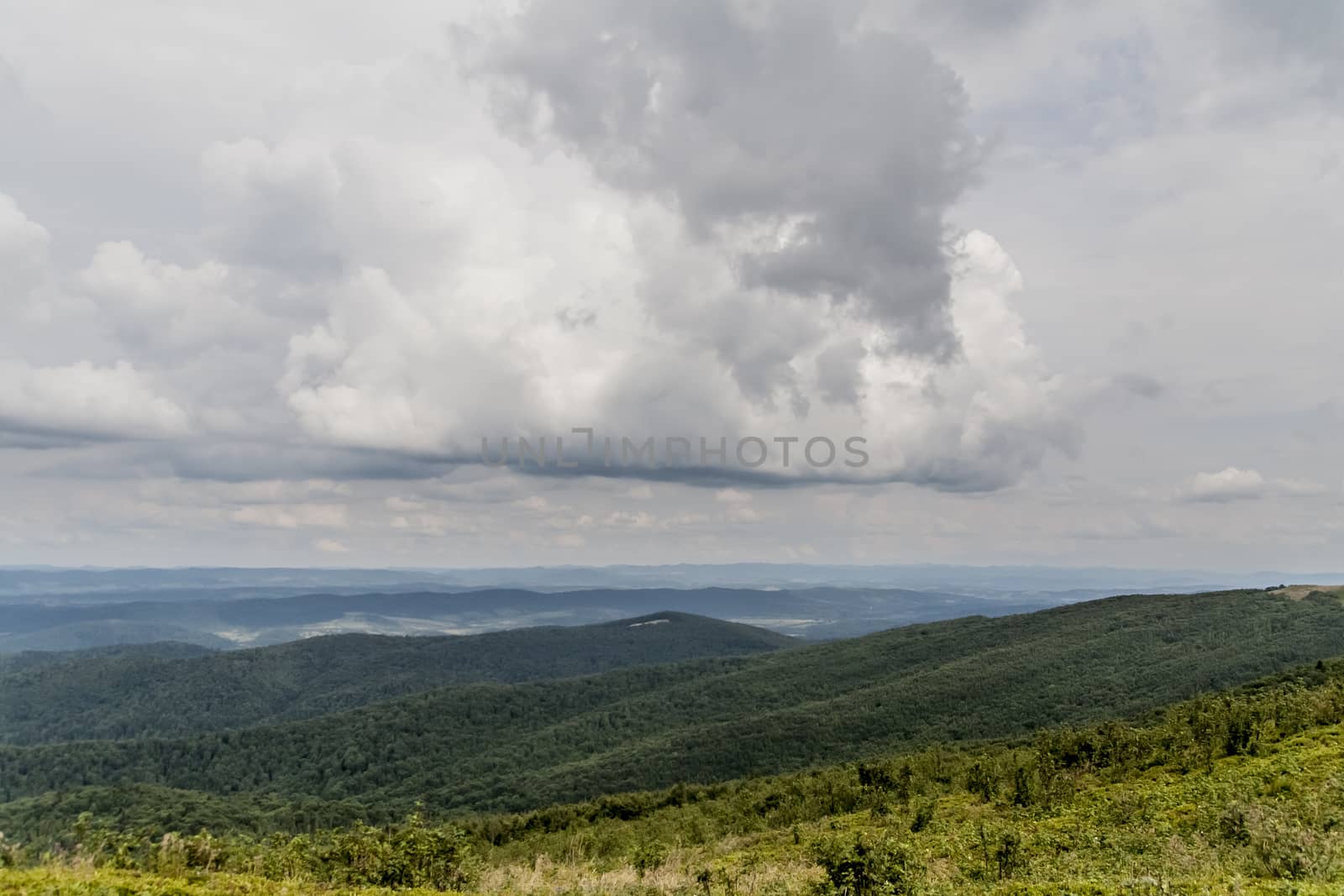 Road from Widelki to Tarnica through Bukowe Berdo in the Bieszczady Mountains in Poland by jacek65