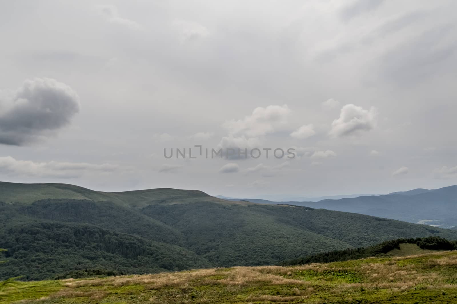 Road from Widelki to Tarnica through Bukowe Berdo in the Bieszczady Mountains in Poland by jacek65