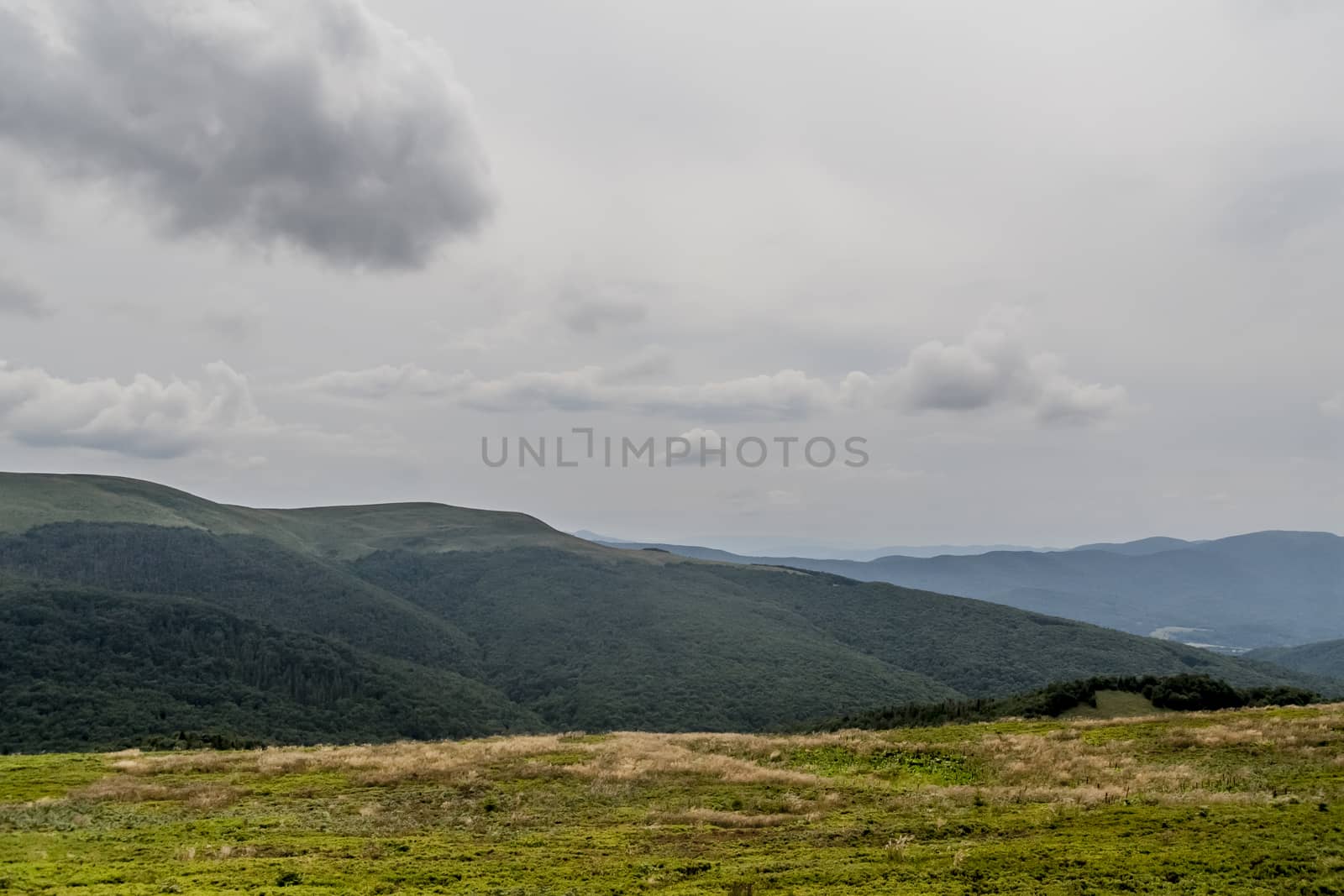 Road from Widelki to Tarnica through Bukowe Berdo in the Bieszczady Mountains in Poland by jacek65