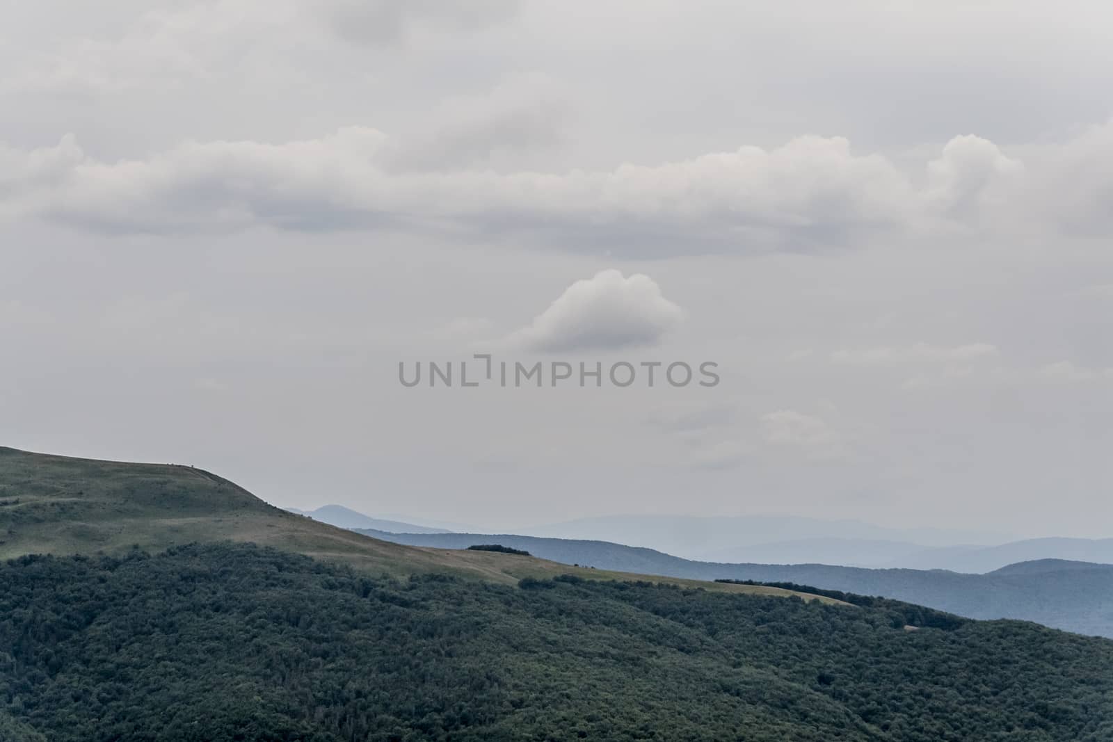 Road from Widelki to Tarnica through Bukowe Berdo in the Bieszczady Mountains in Poland by jacek65