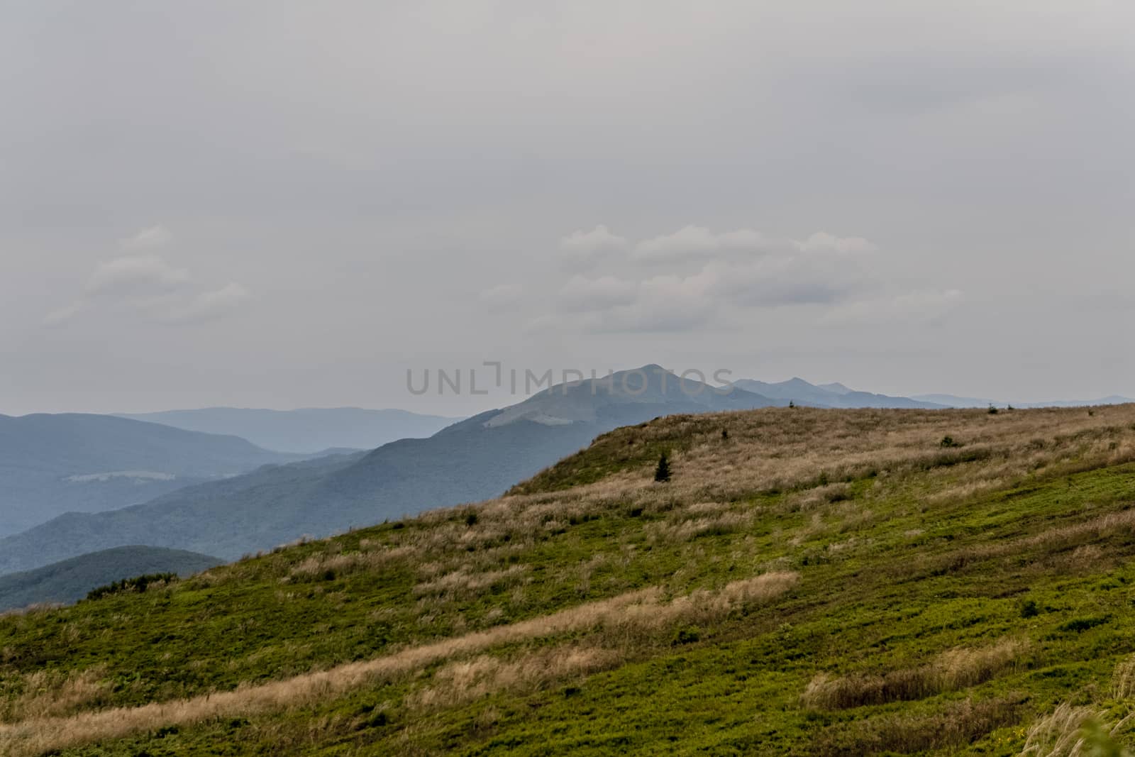 Road from Widelki to Tarnica through Bukowe Berdo in the Bieszczady Mountains in Poland by jacek65