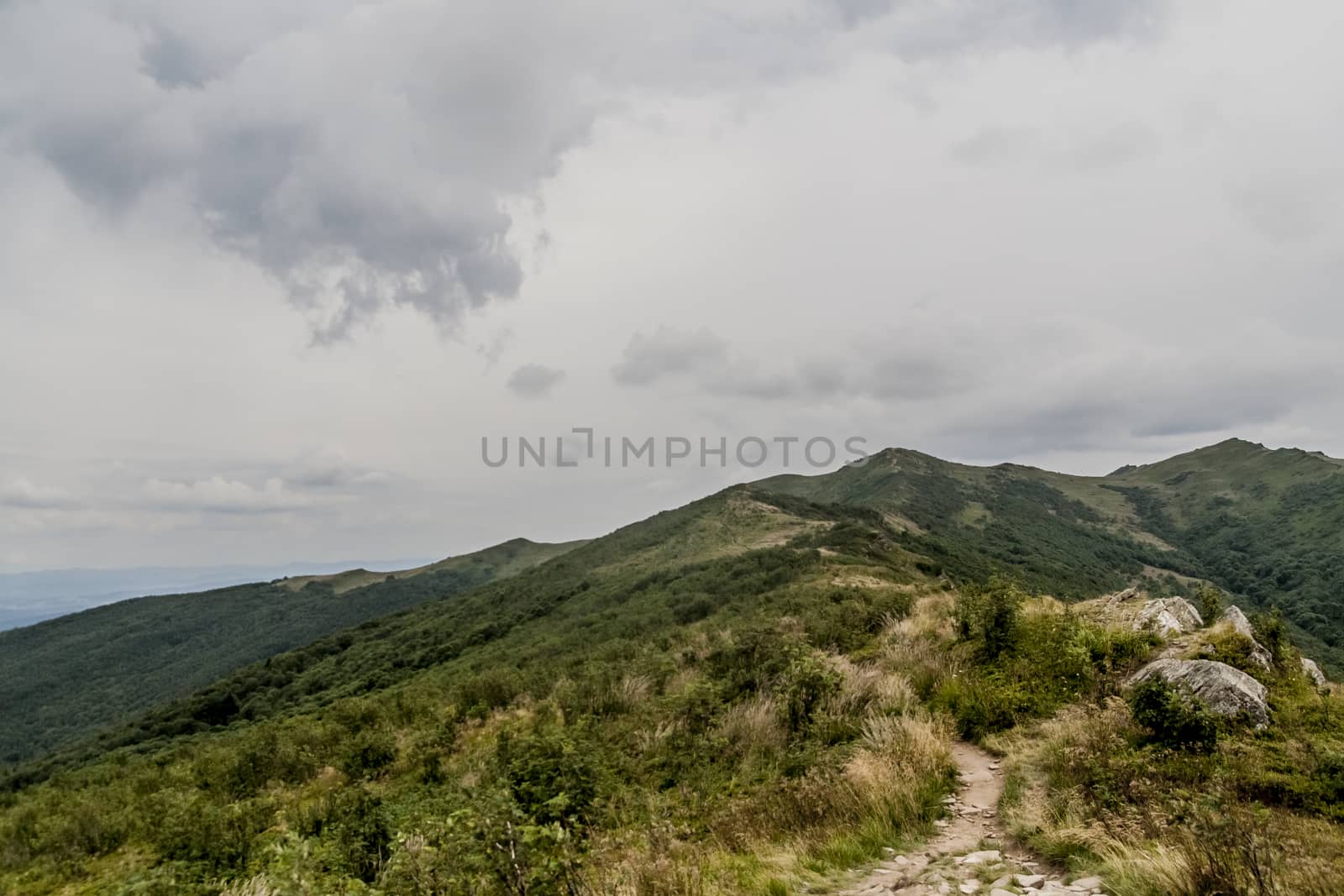 Road from Widelki to Tarnica through Bukowe Berdo in the Bieszczady Mountains in Poland