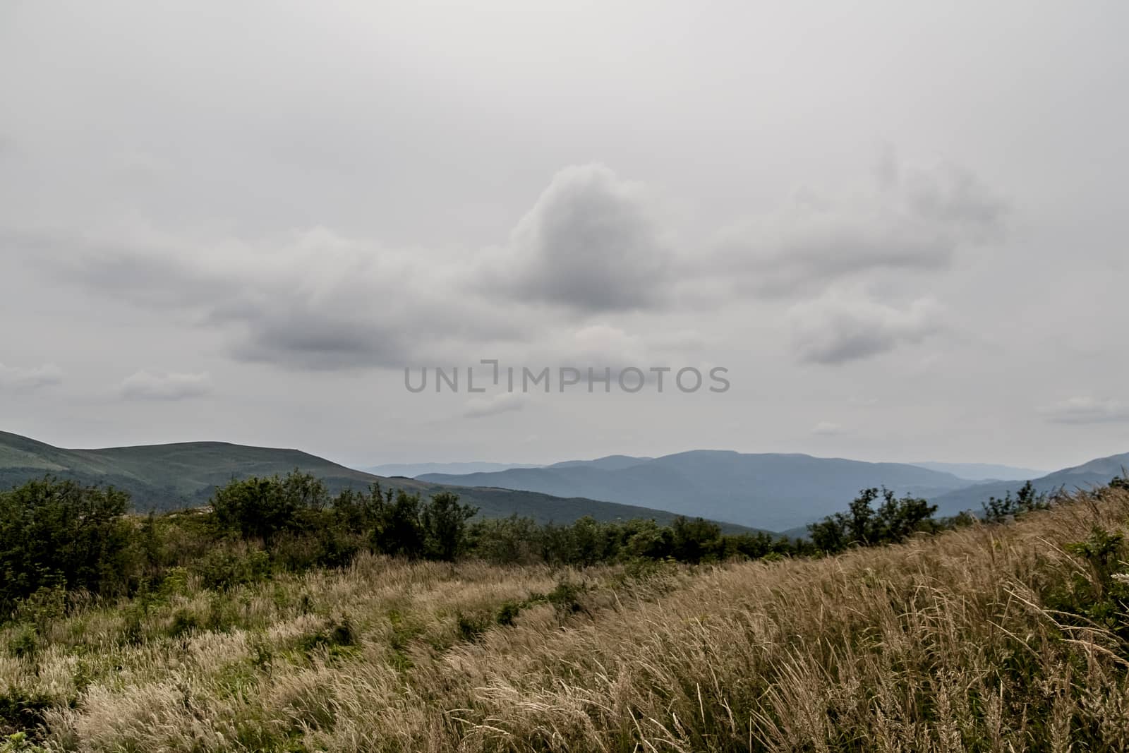 Road from Widelki to Tarnica through Bukowe Berdo in the Bieszczady Mountains in Poland by jacek65