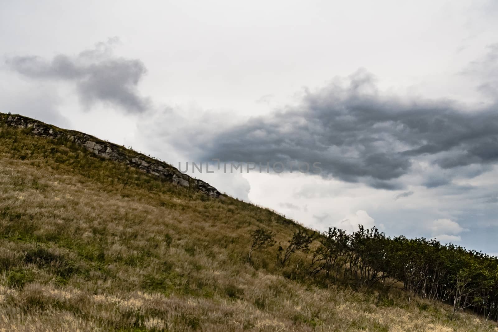 Road from Widelki to Tarnica through Bukowe Berdo in the Bieszczady Mountains in Poland