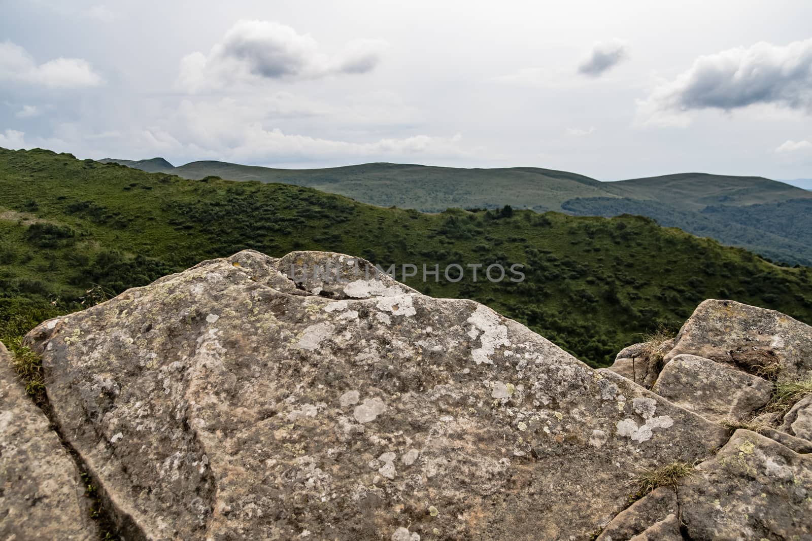 Road from Widelki to Tarnica through Bukowe Berdo in the Bieszczady Mountains in Poland by jacek65