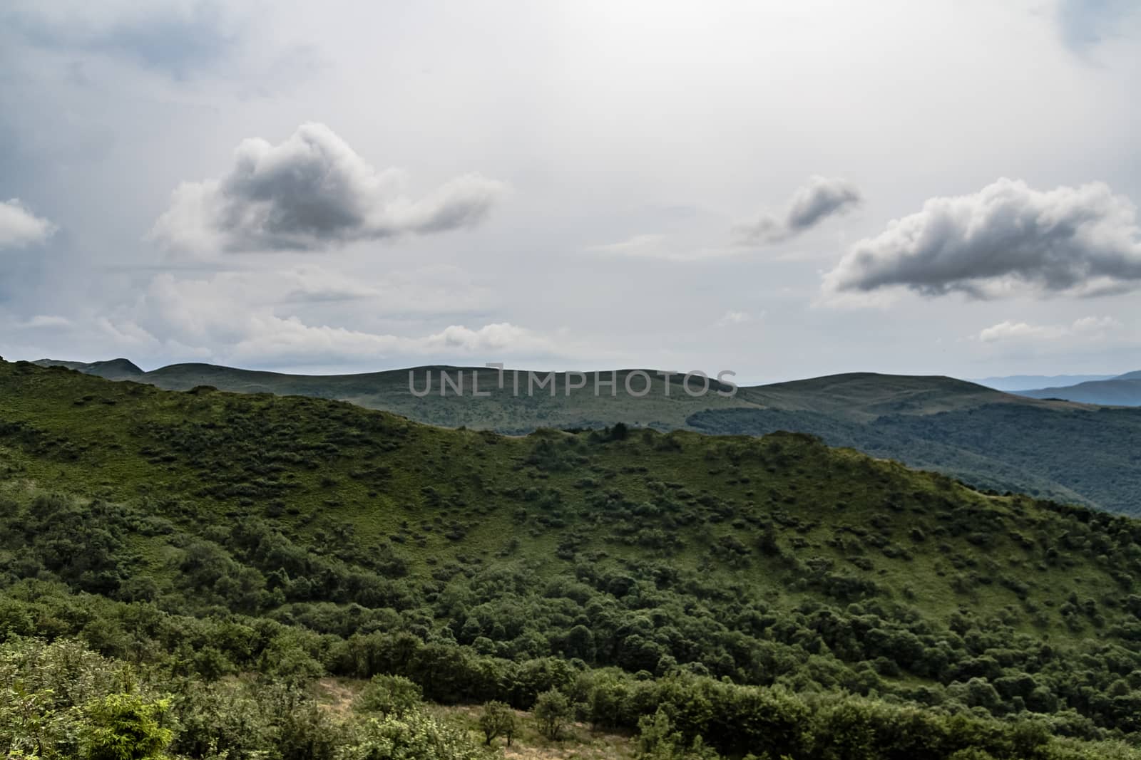 Road from Widelki to Tarnica through Bukowe Berdo in the Bieszczady Mountains in Poland by jacek65