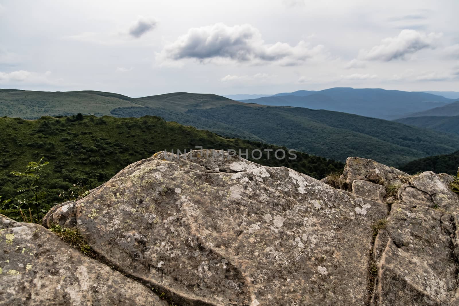 Road from Widelki to Tarnica through Bukowe Berdo in the Bieszczady Mountains in Poland