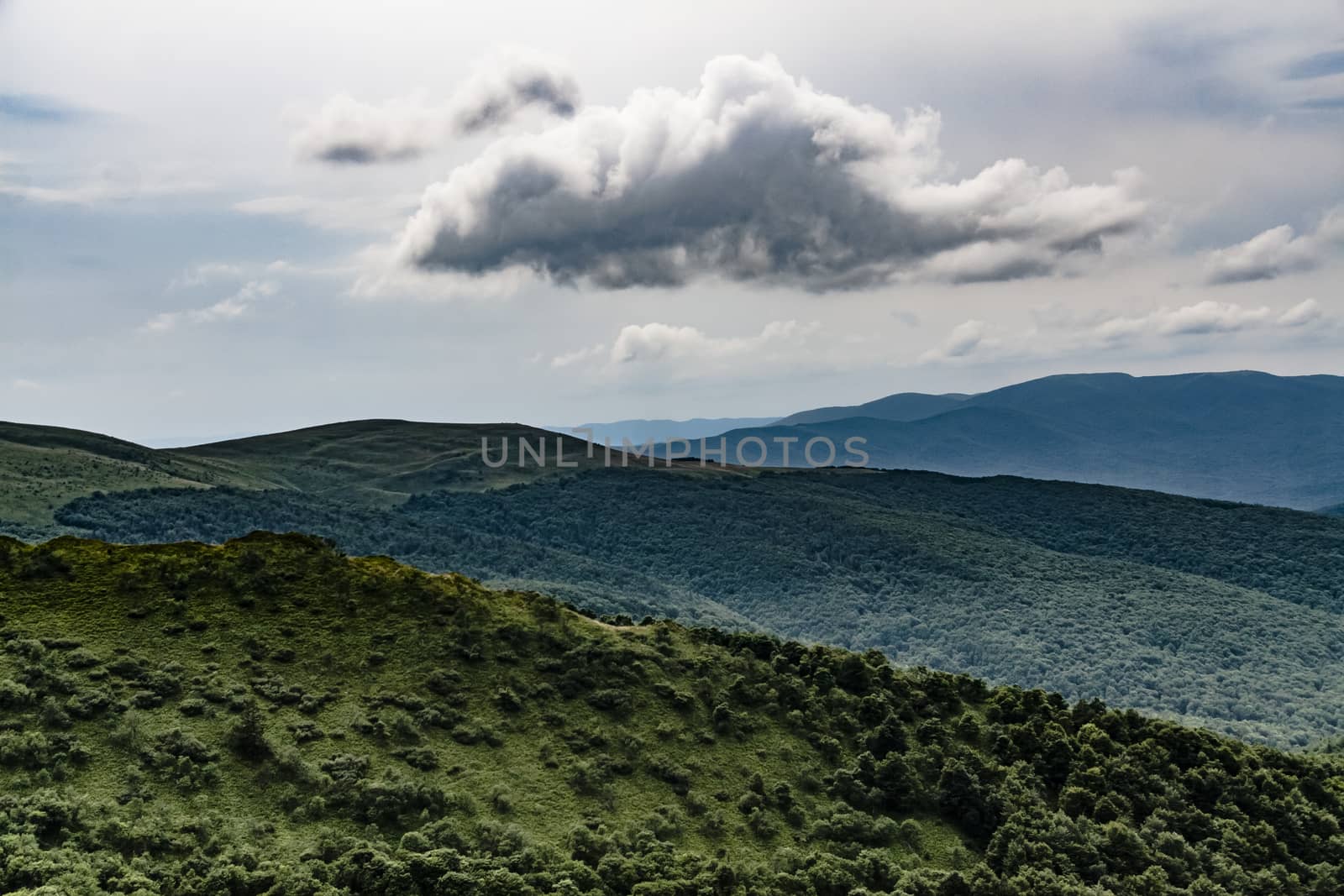 Road from Widelki to Tarnica through Bukowe Berdo in the Bieszczady Mountains in Poland