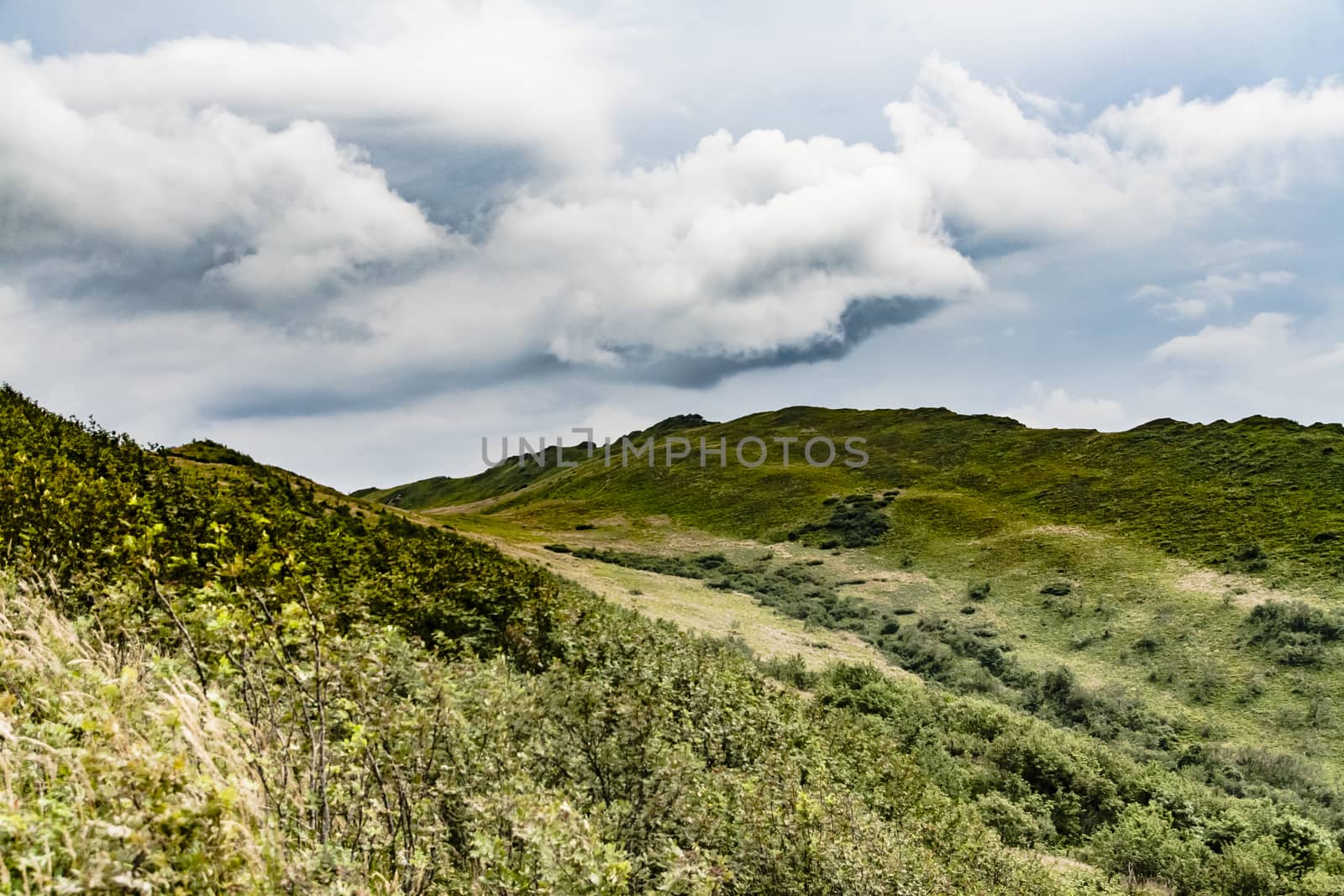 Road from Widelki to Tarnica through Bukowe Berdo in the Bieszczady Mountains in Poland by jacek65