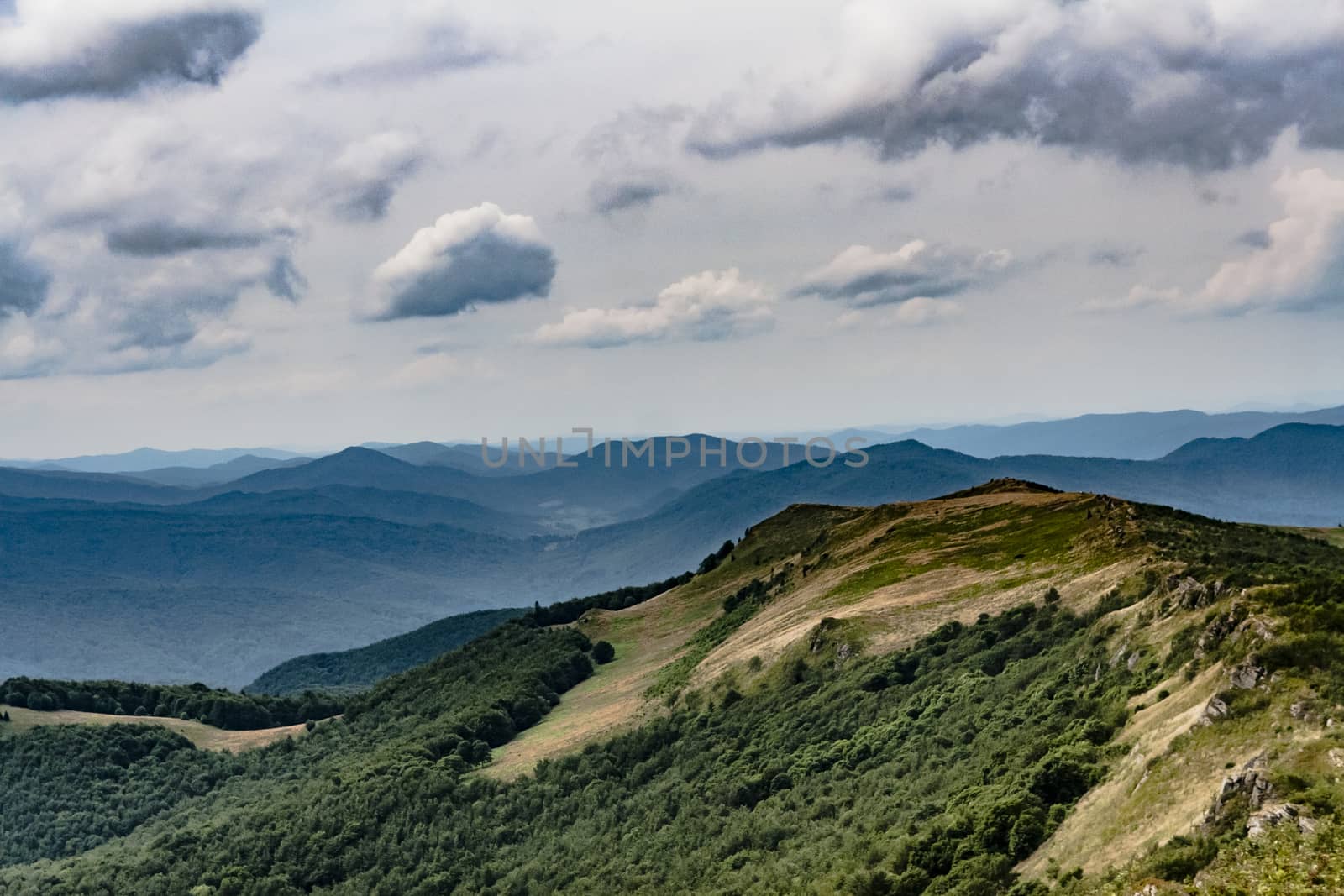 Road from Widelki to Tarnica through Bukowe Berdo in the Bieszczady Mountains in Poland by jacek65