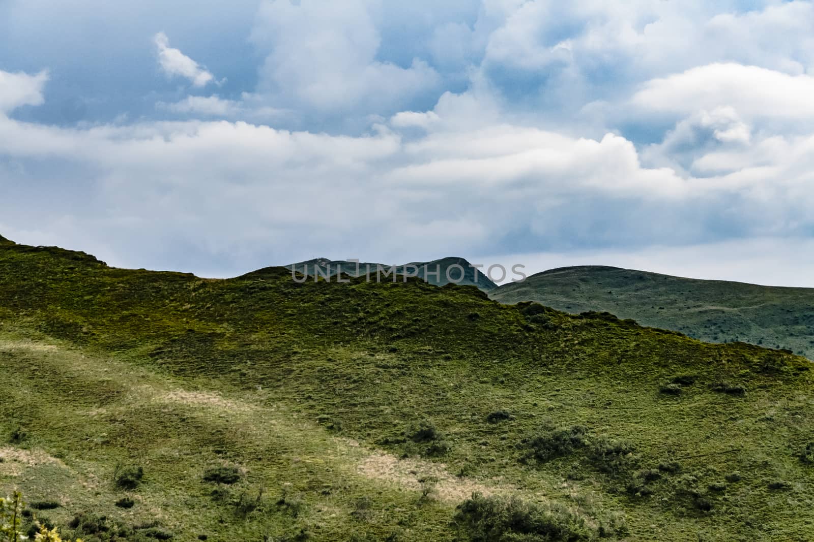 Road from Widelki to Tarnica through Bukowe Berdo in the Bieszczady Mountains in Poland