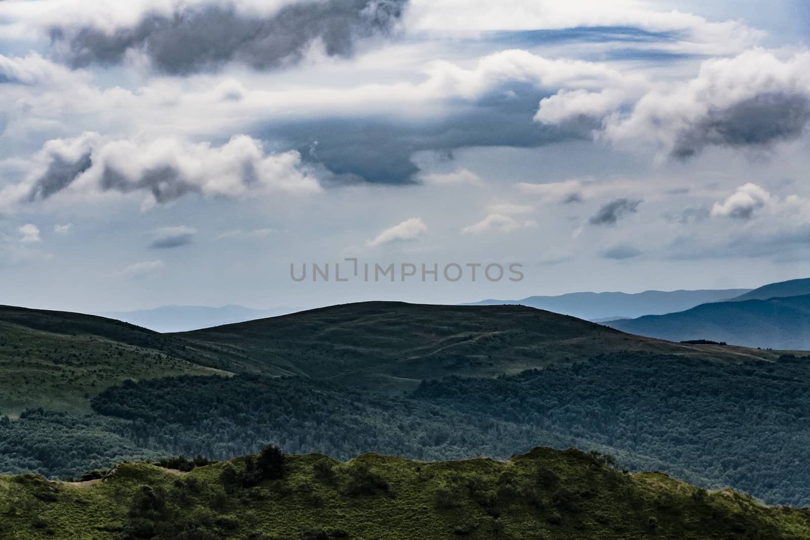 Road from Widelki to Tarnica through Bukowe Berdo in the Bieszczady Mountains in Poland by jacek65