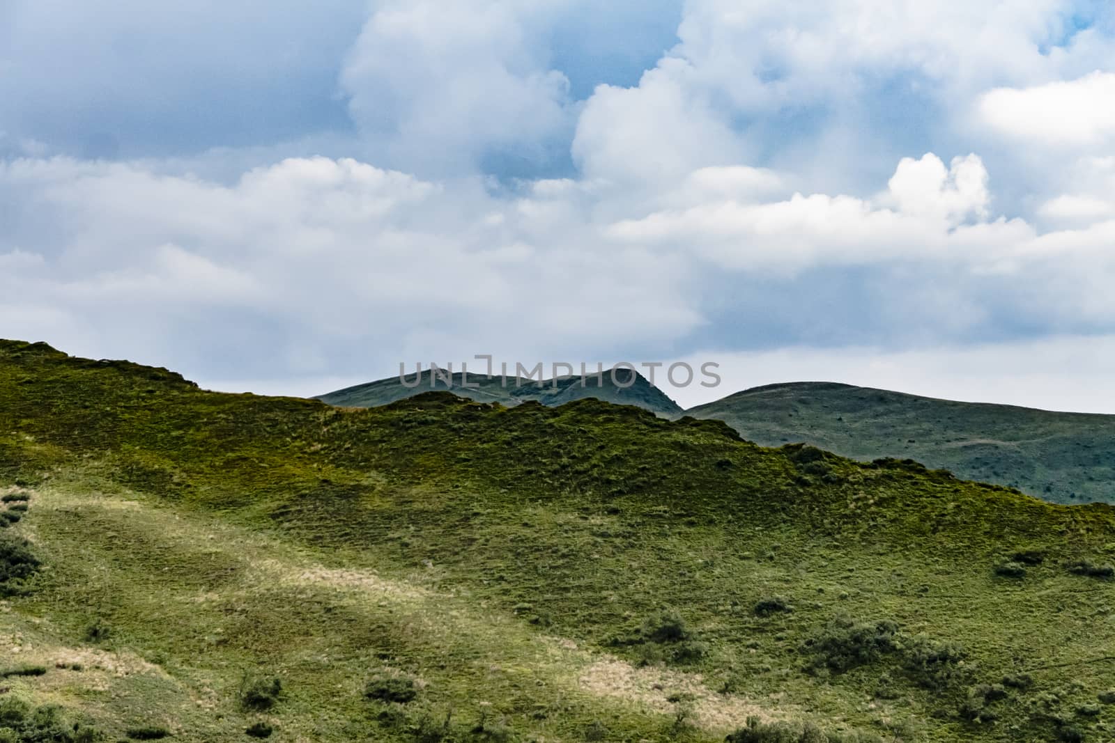 Road from Widelki to Tarnica through Bukowe Berdo in the Bieszczady Mountains in Poland by jacek65