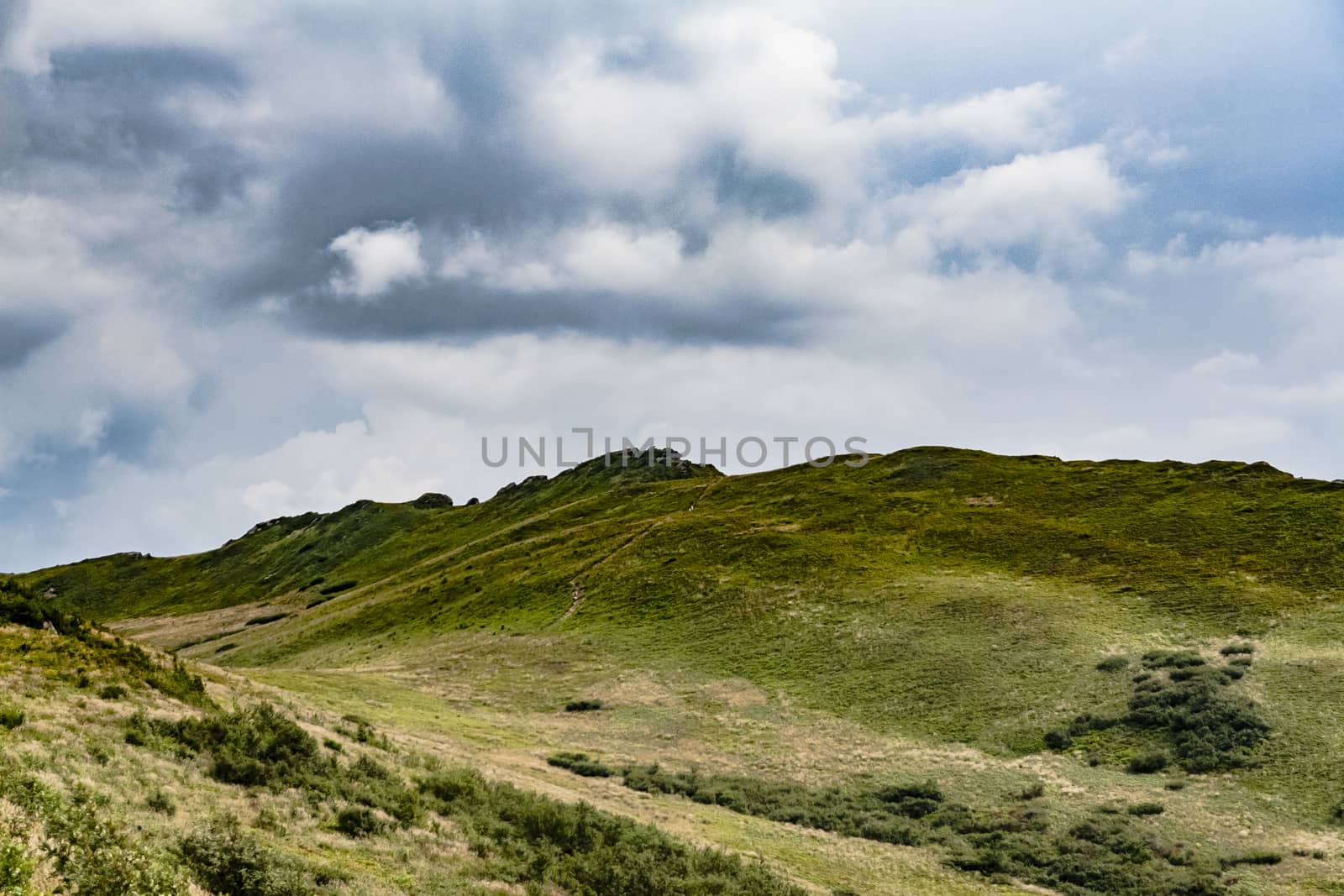 Road from Widelki to Tarnica through Bukowe Berdo in the Bieszczady Mountains in Poland by jacek65